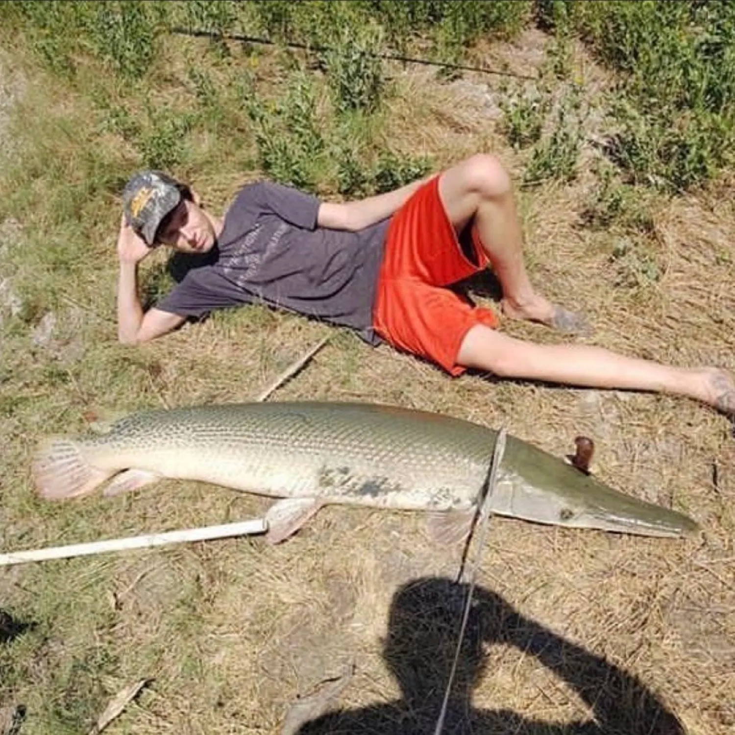 Alligator gar caught on Fishbrain