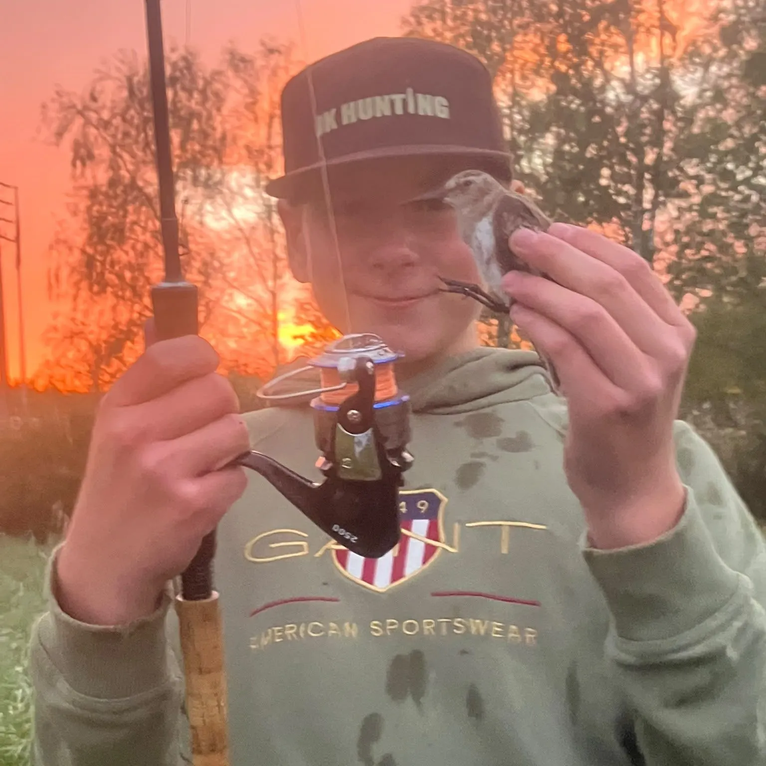 The most recent Ornate wrasse catches on Fishbrain