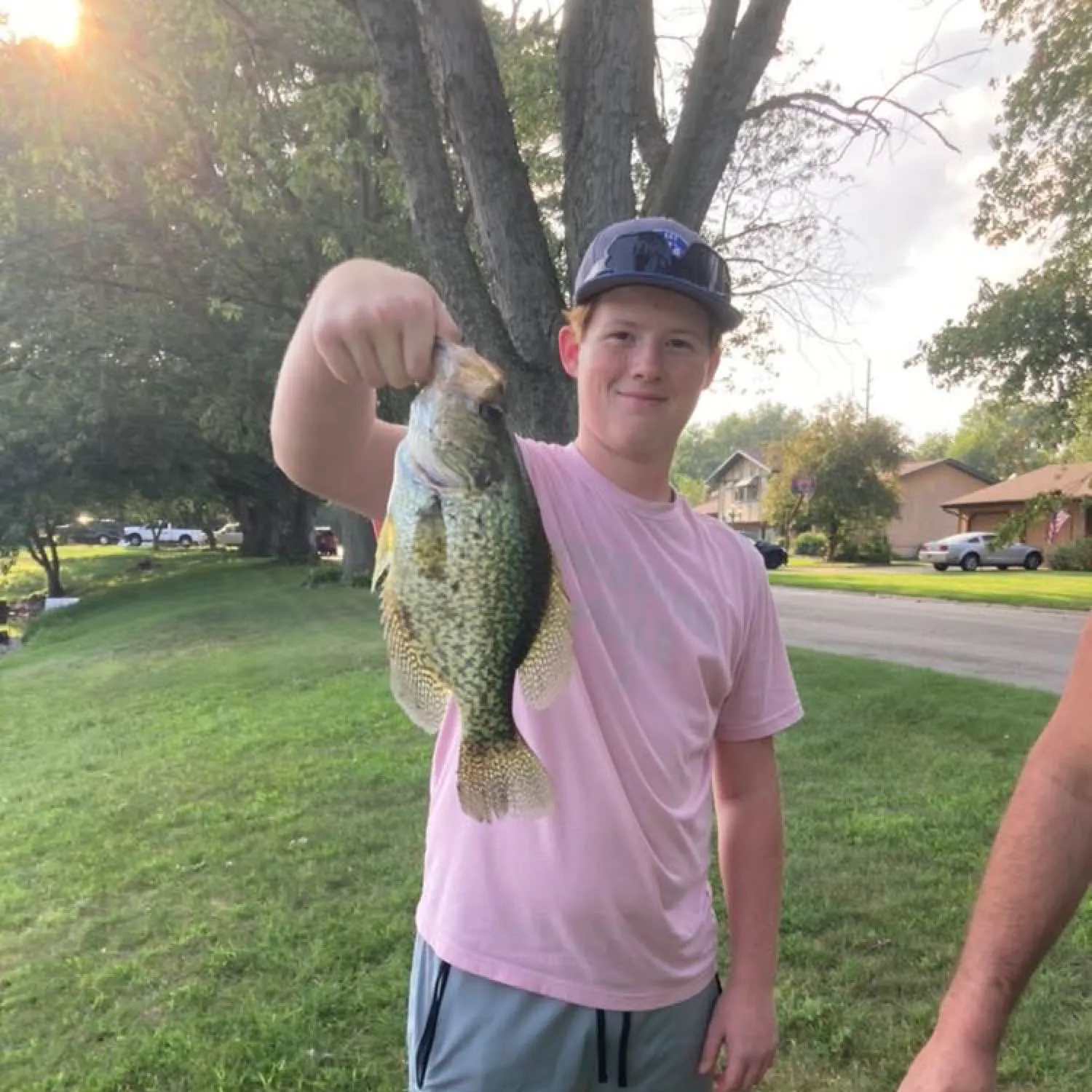 Black crappie caught on Fishbrain