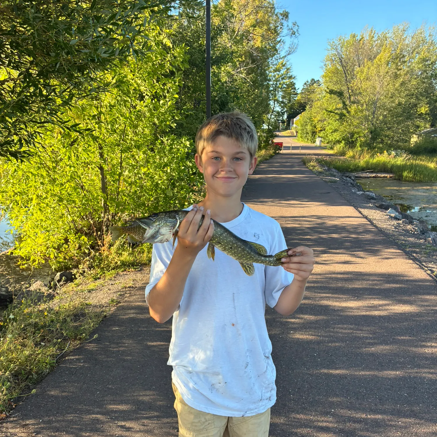 Northern pike caught on Fishbrain