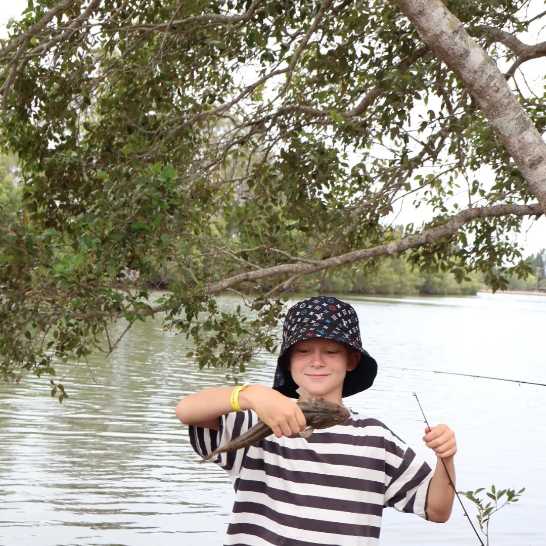 The most recent Fringe-eyed flathead catches on Fishbrain