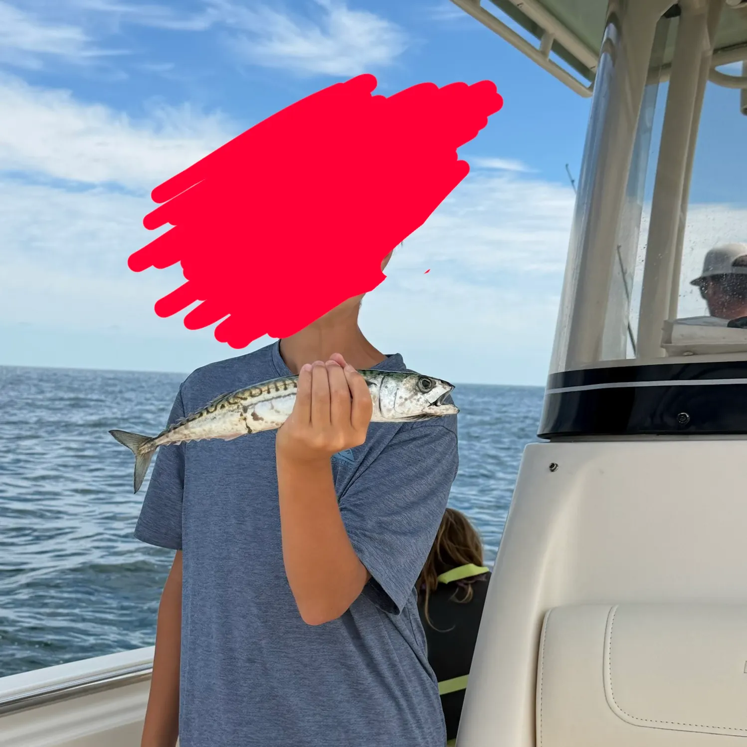 Atlantic mackerel caught on Fishbrain