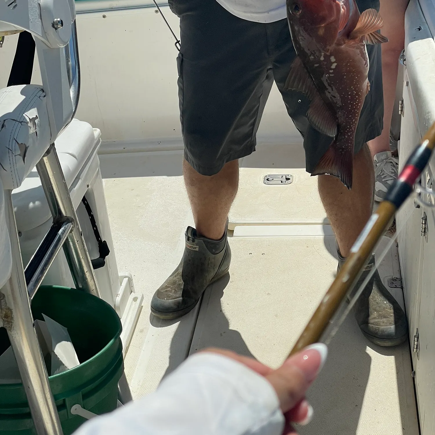 Red grouper caught on Fishbrain
