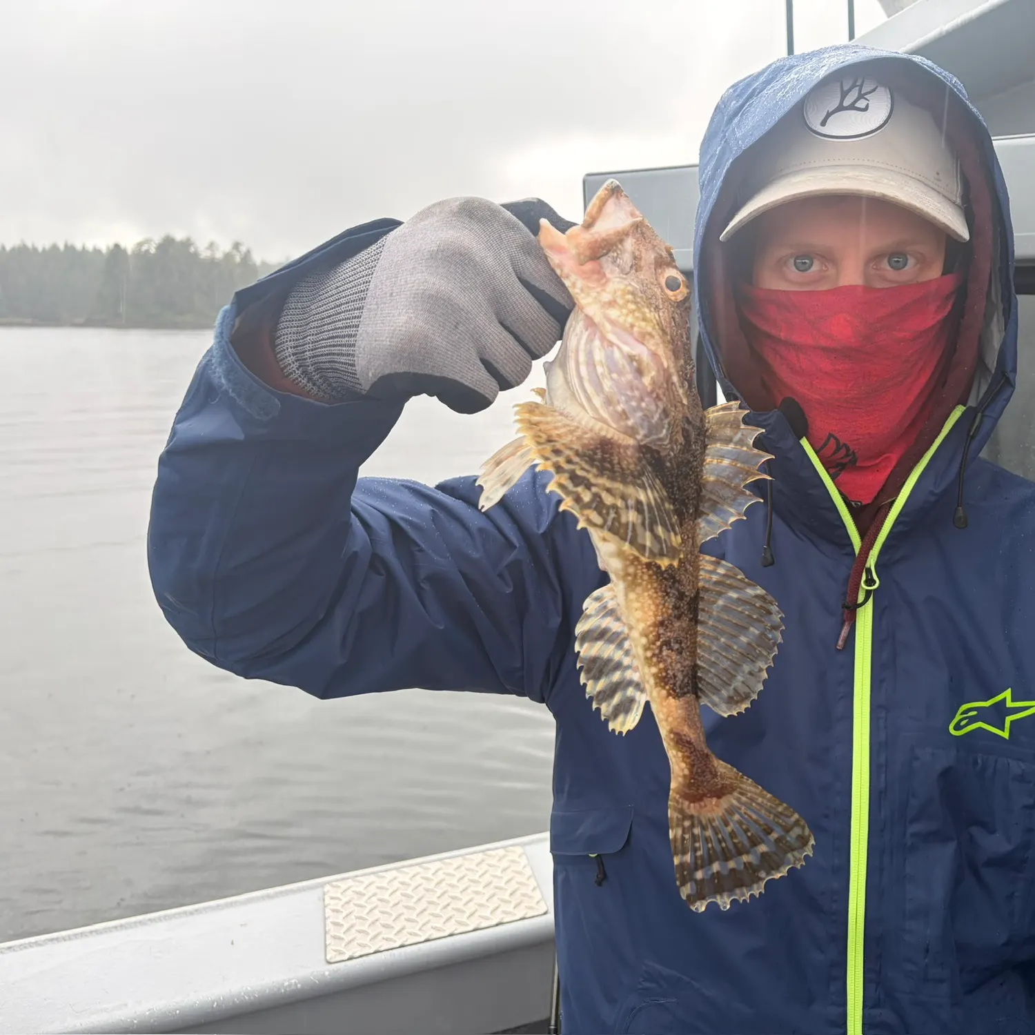 The most recent Spinyhead sculpin catches on Fishbrain
