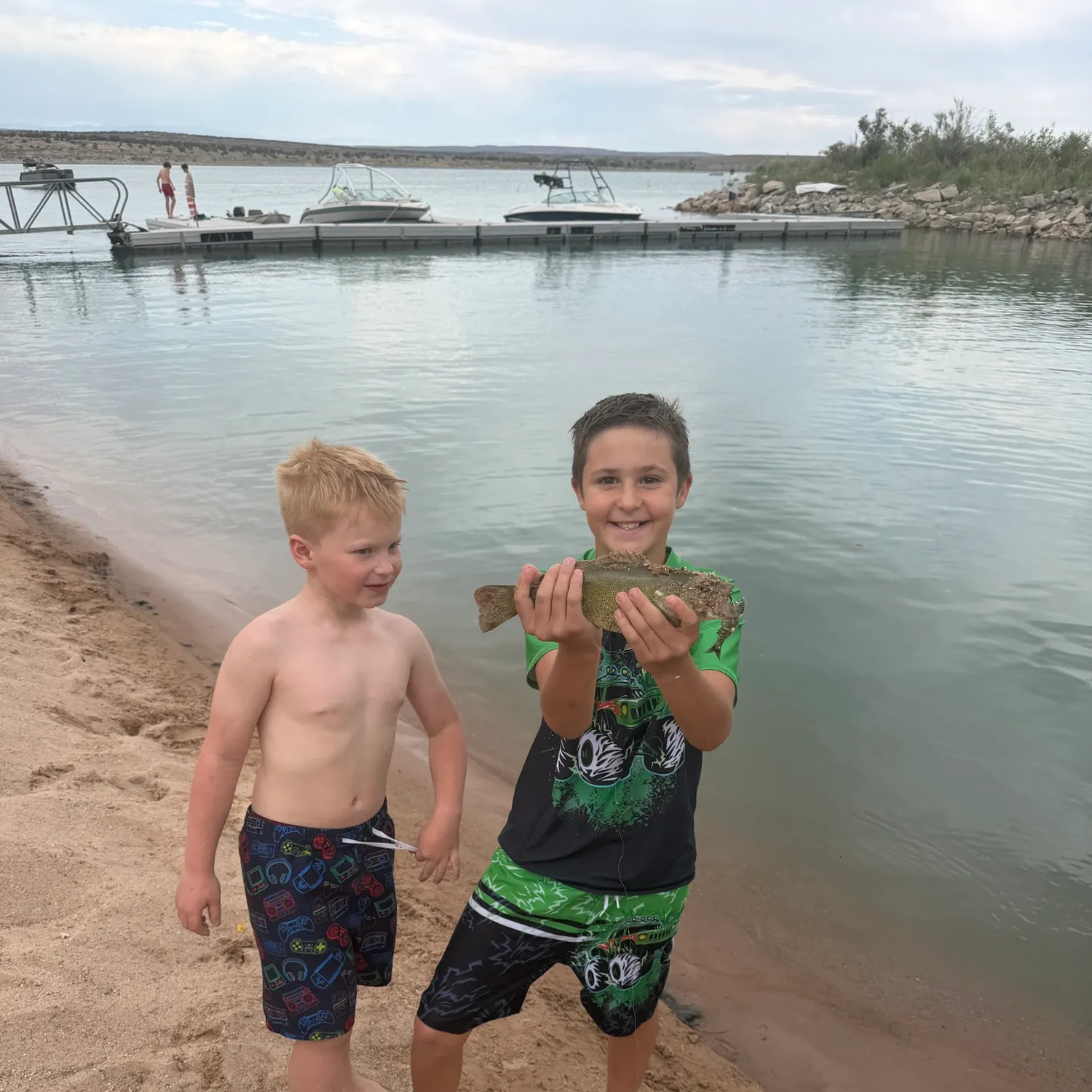 The most recent Ozark bass catches on Fishbrain