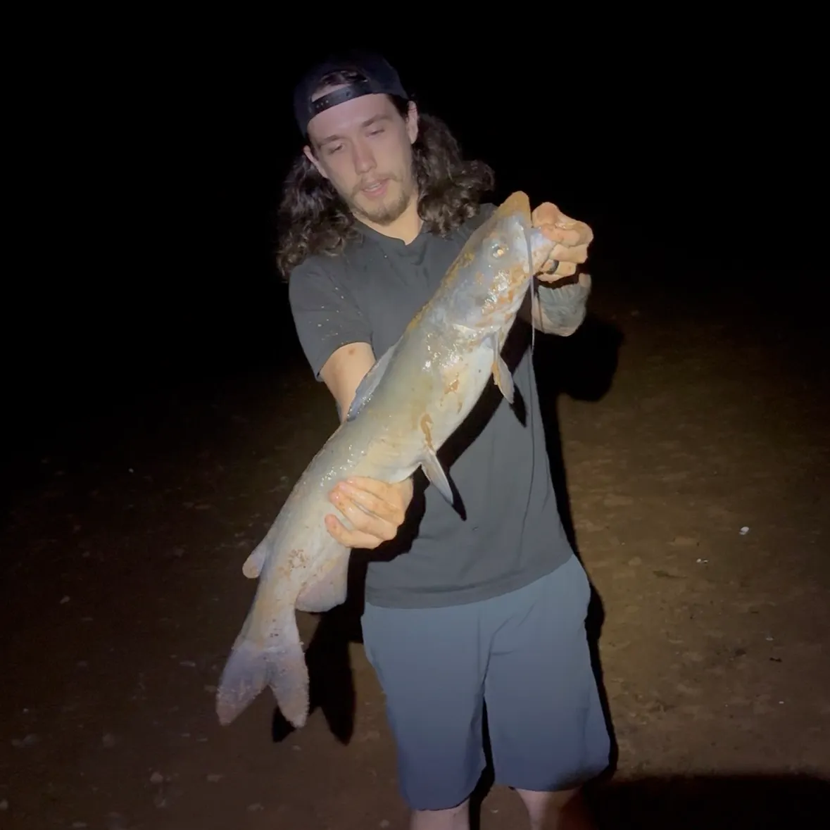 Blue catfish caught on Fishbrain