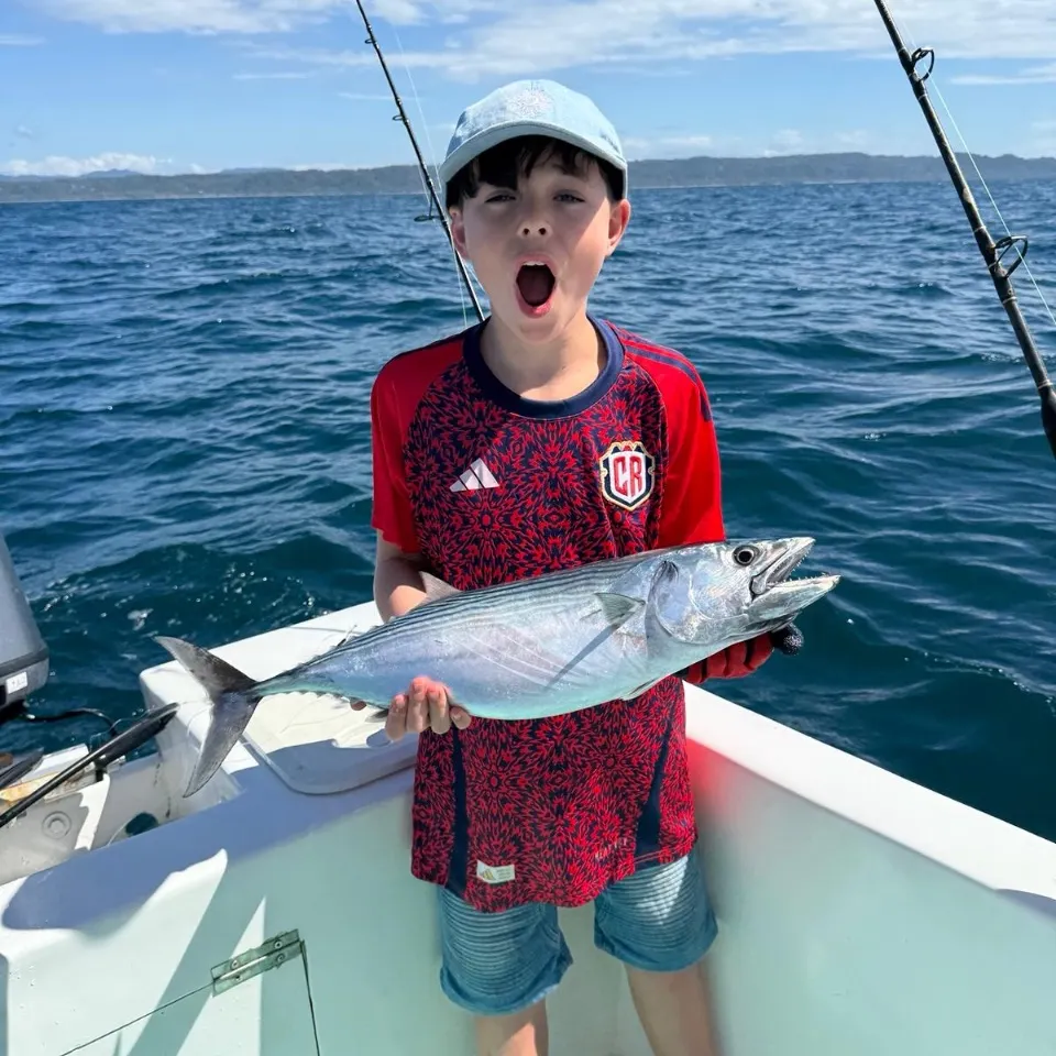 The most recent Skipjack tuna catches on Fishbrain