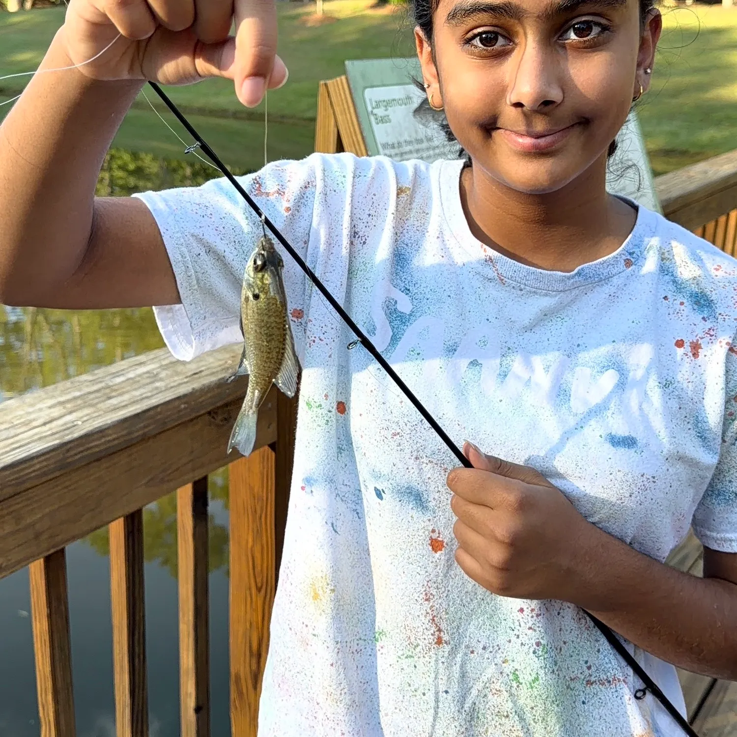 Bluegill caught on Fishbrain