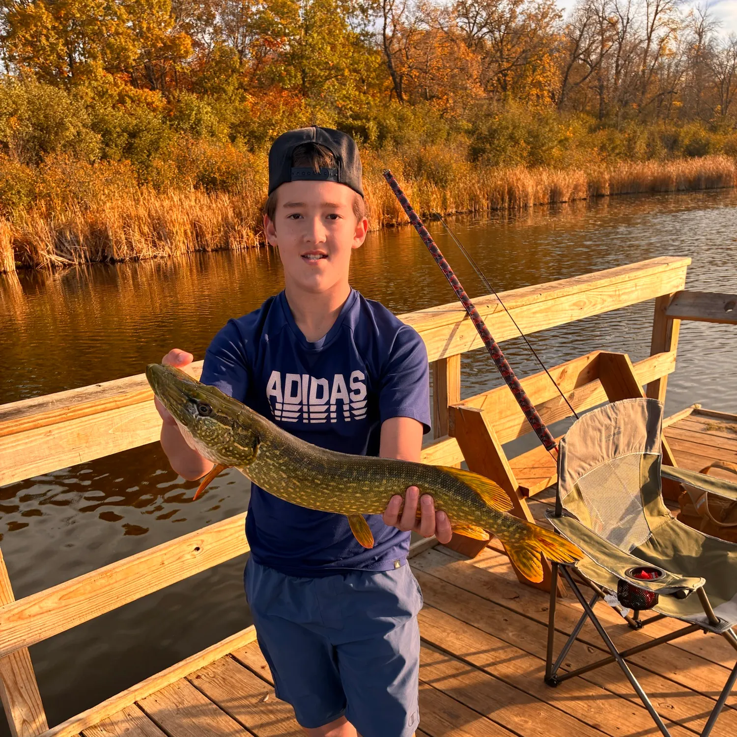 Northern pike caught on Fishbrain