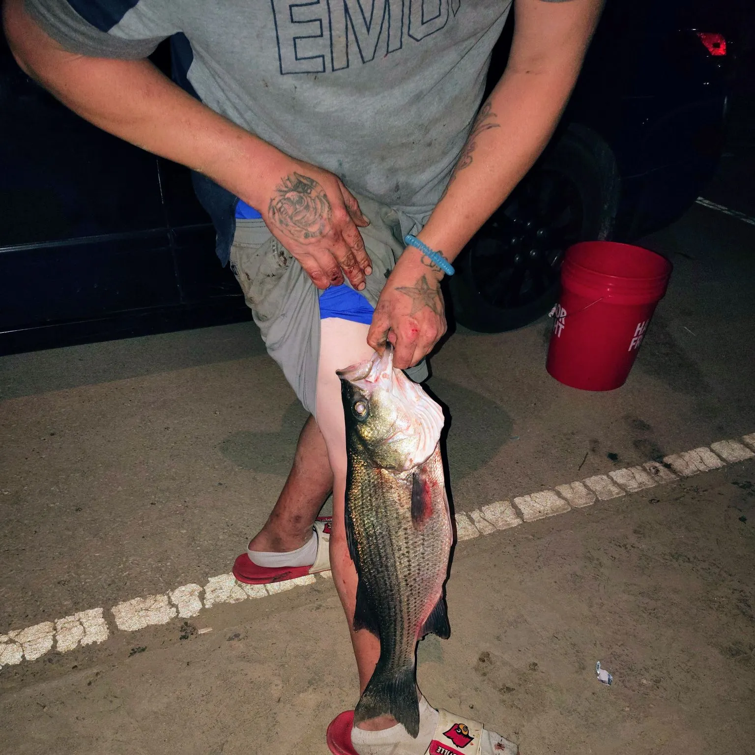 catch