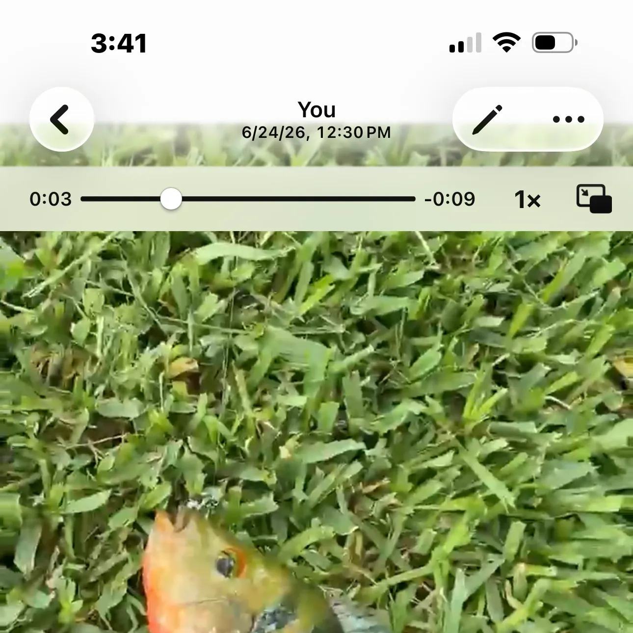 recently logged catches