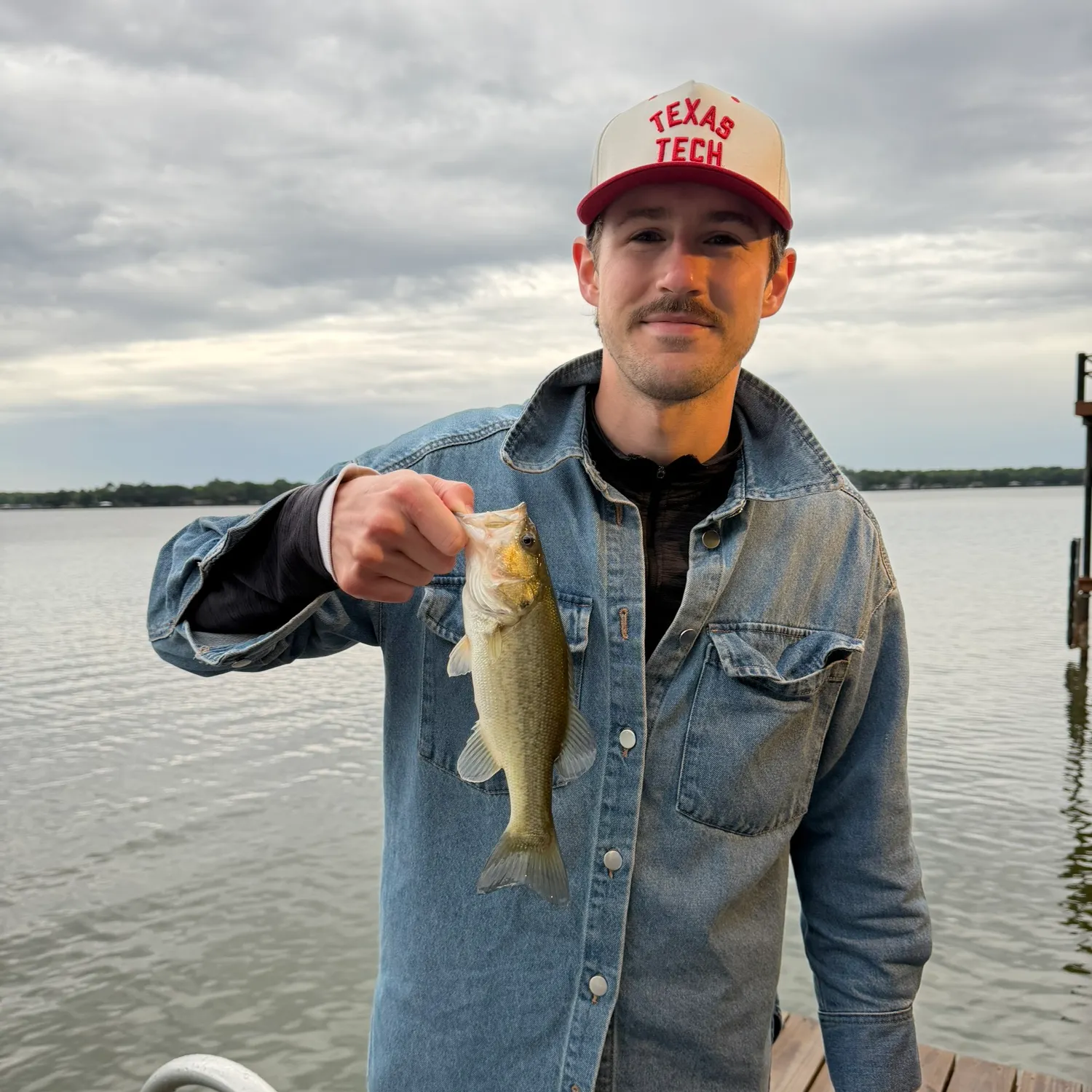 The most recent Largemouth bass catches on Fishbrain