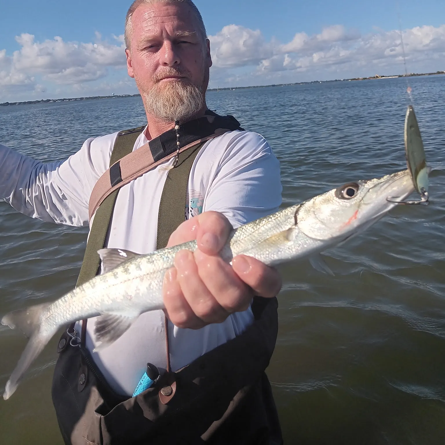 The most recent Great barracuda catches on Fishbrain