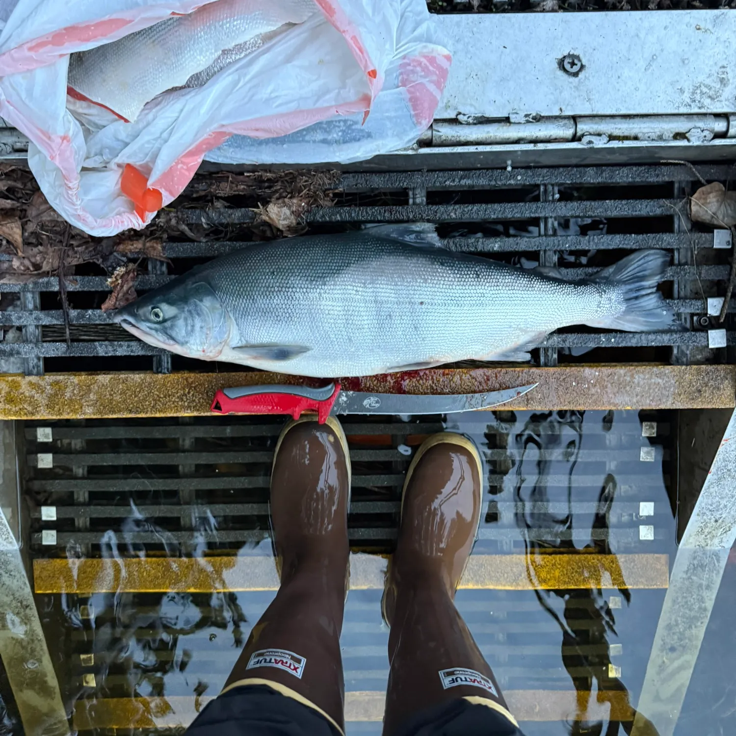 catch