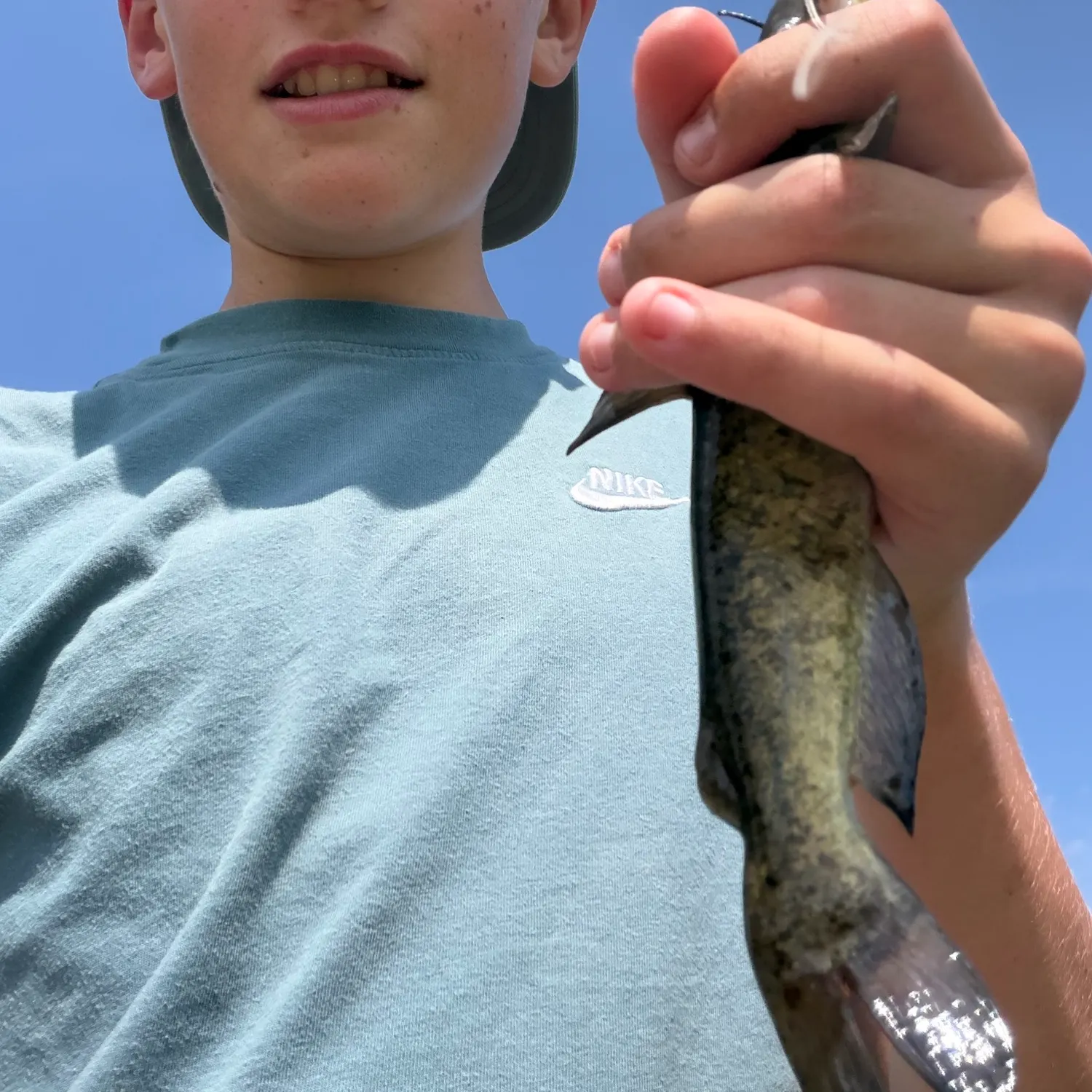 The most recent Black bullhead catches on Fishbrain