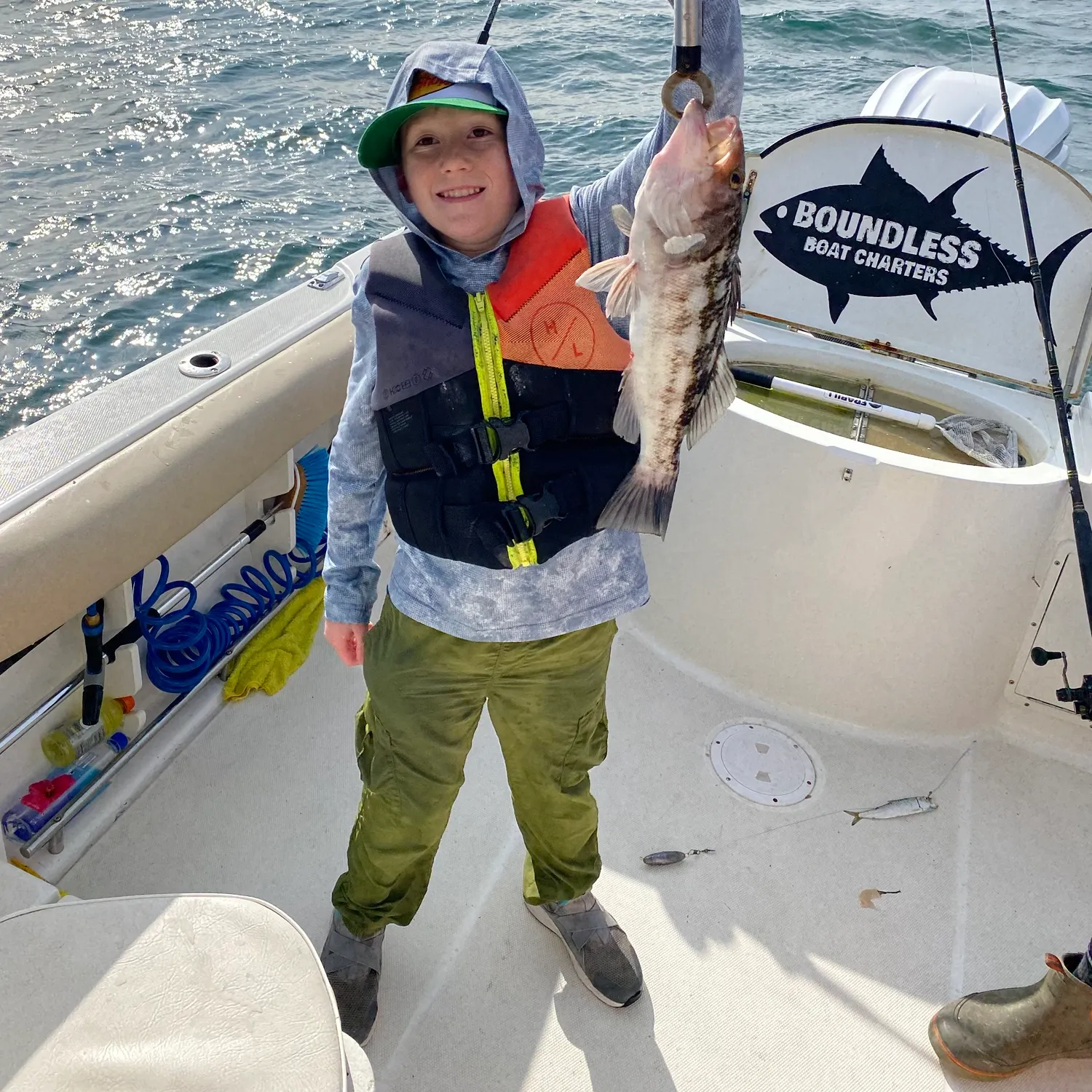 Kelp bass caught on Fishbrain