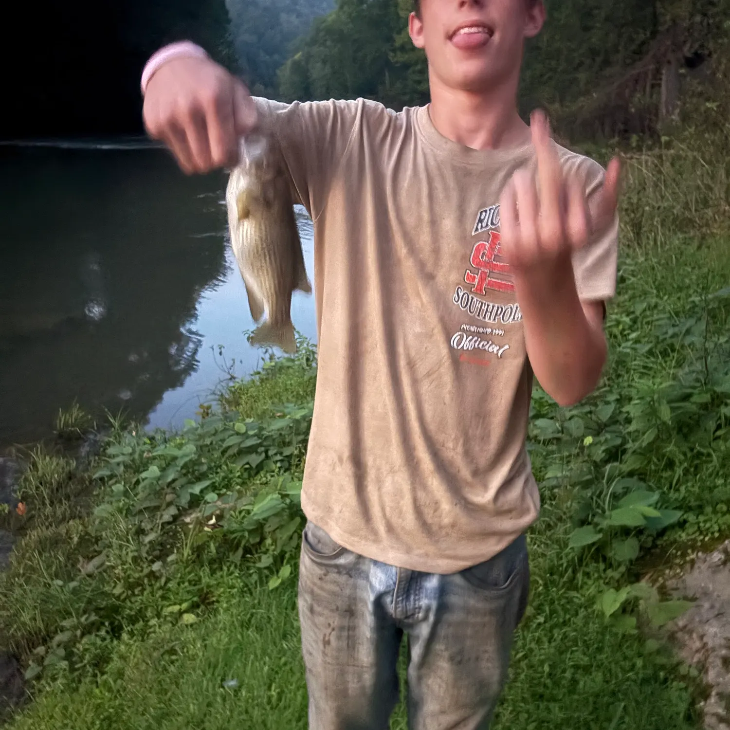 White perch caught on Fishbrain
