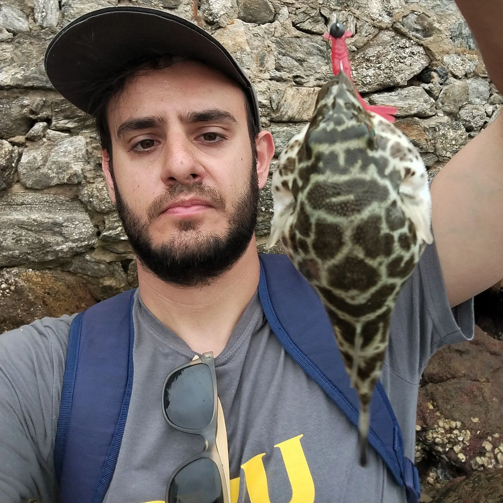 The most recent Oceanic puffer catches on Fishbrain
