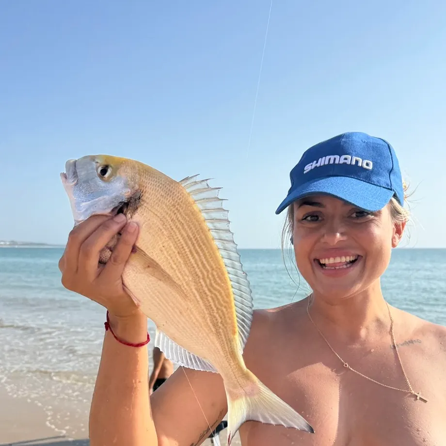 The most recent Dorada catches on Fishbrain