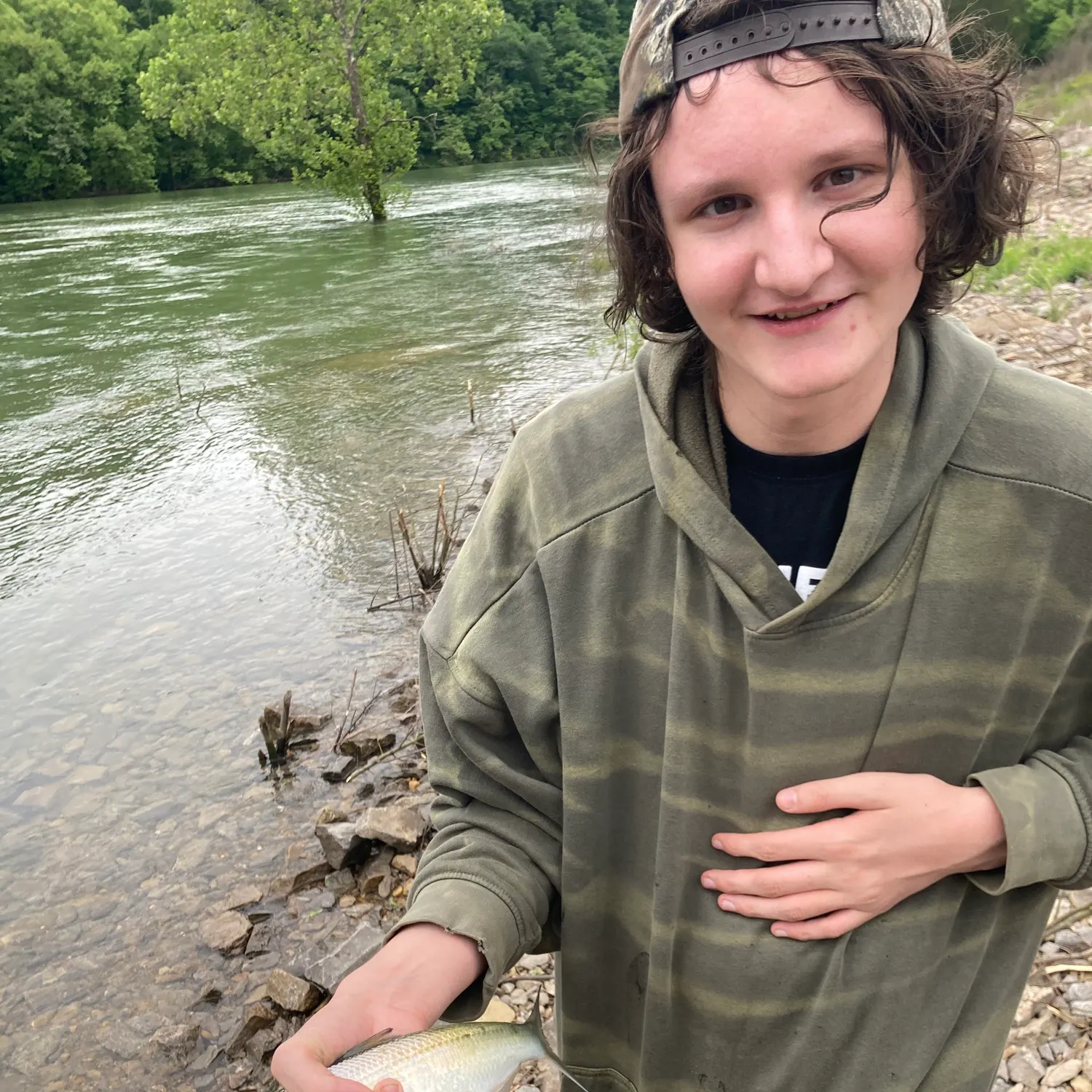 The most recent Skipjack herring catches on Fishbrain