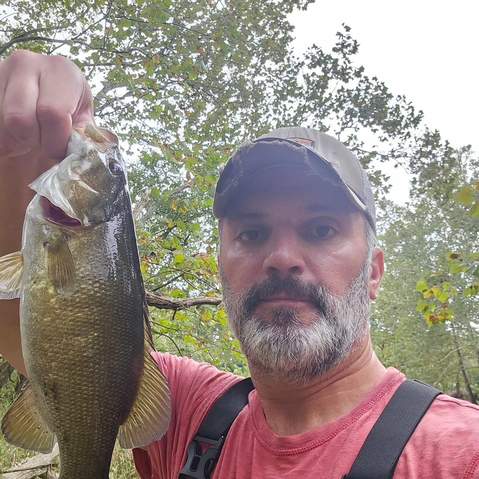 Smallmouth bass caught on Fishbrain