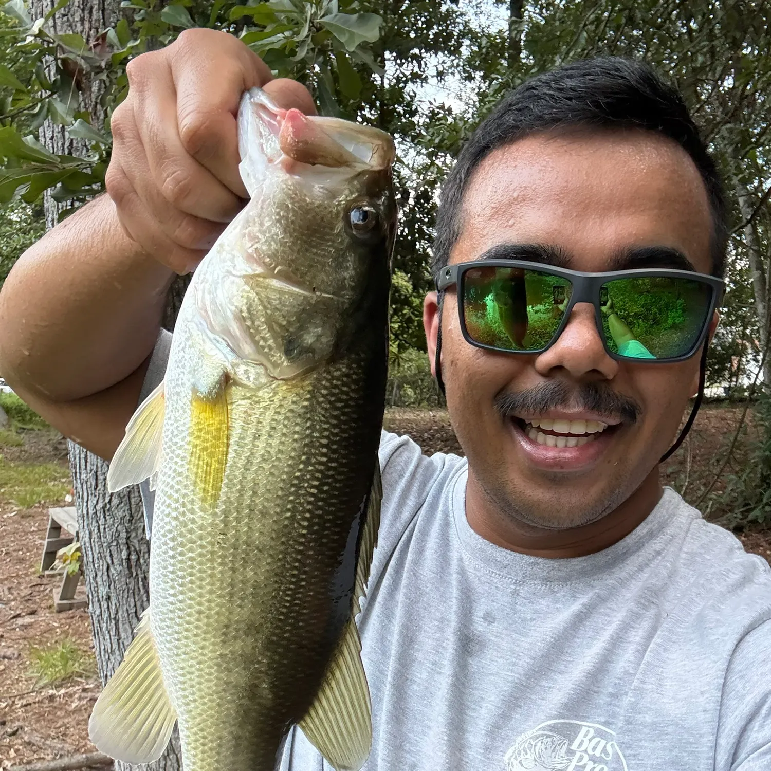 Largemouth bass caught on Fishbrain