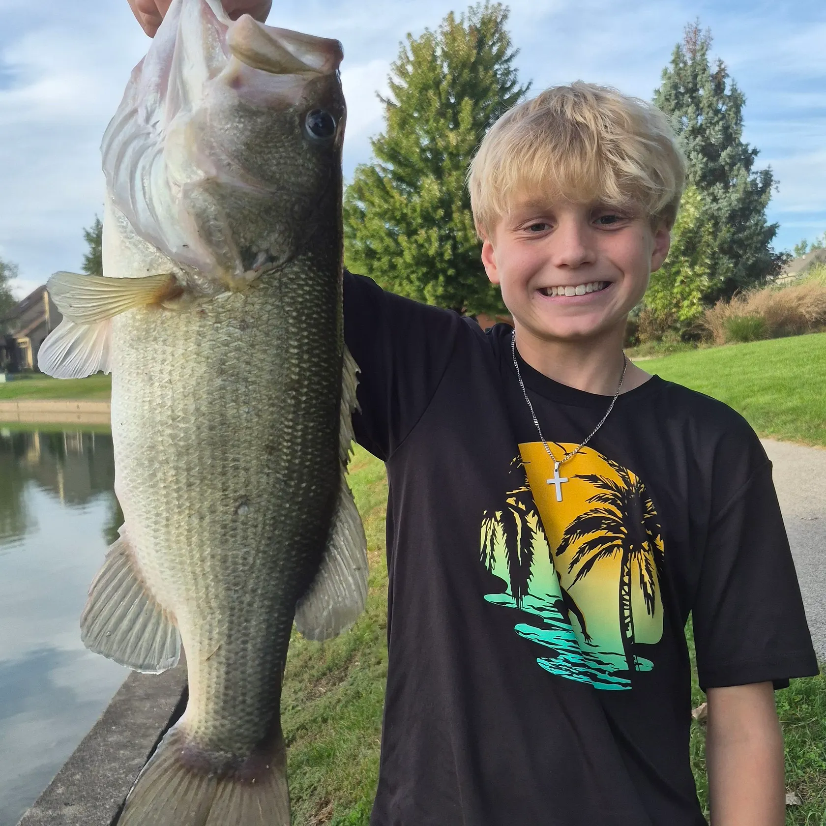 Largemouth bass caught on Fishbrain