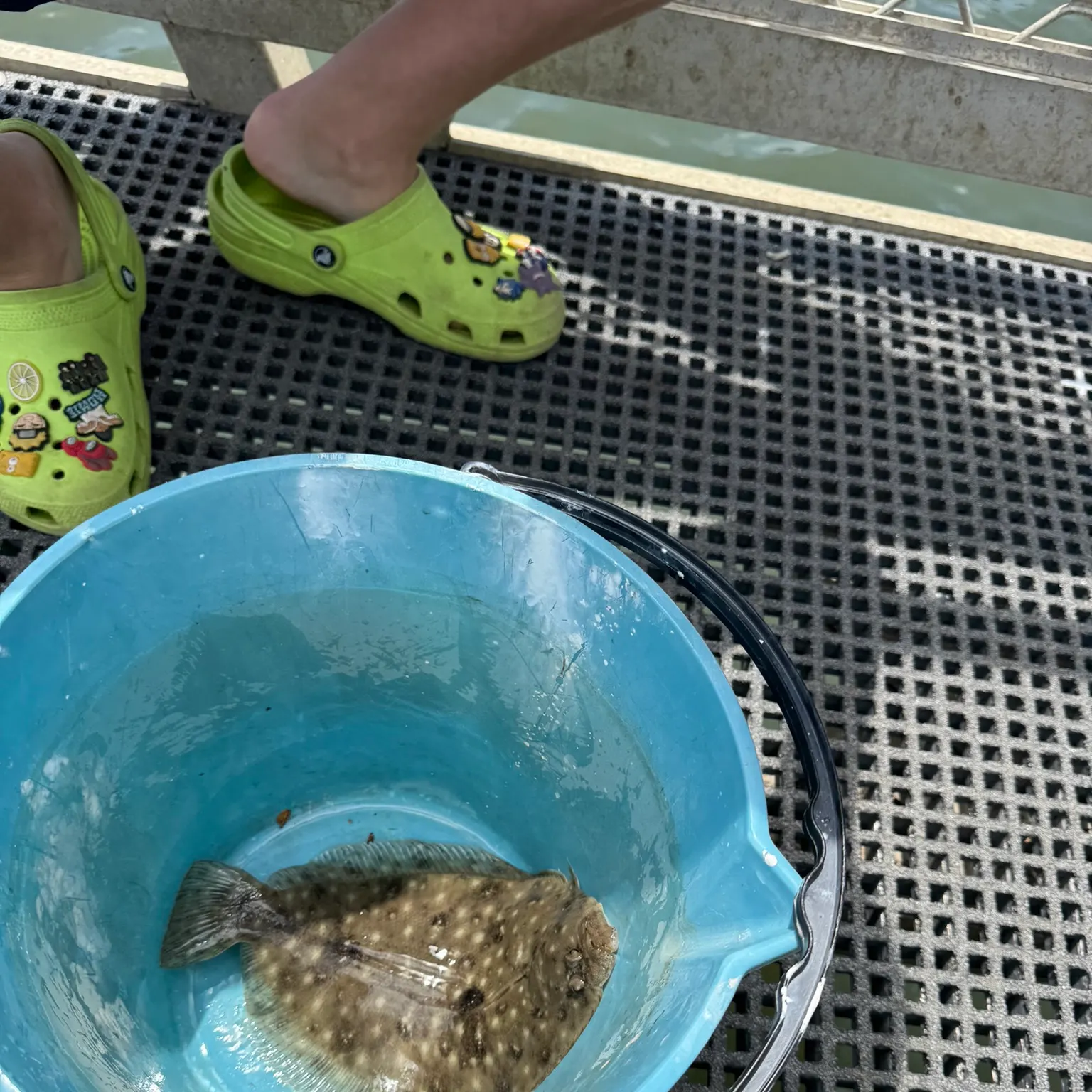The most recent Yellowbelly flounder catches on Fishbrain