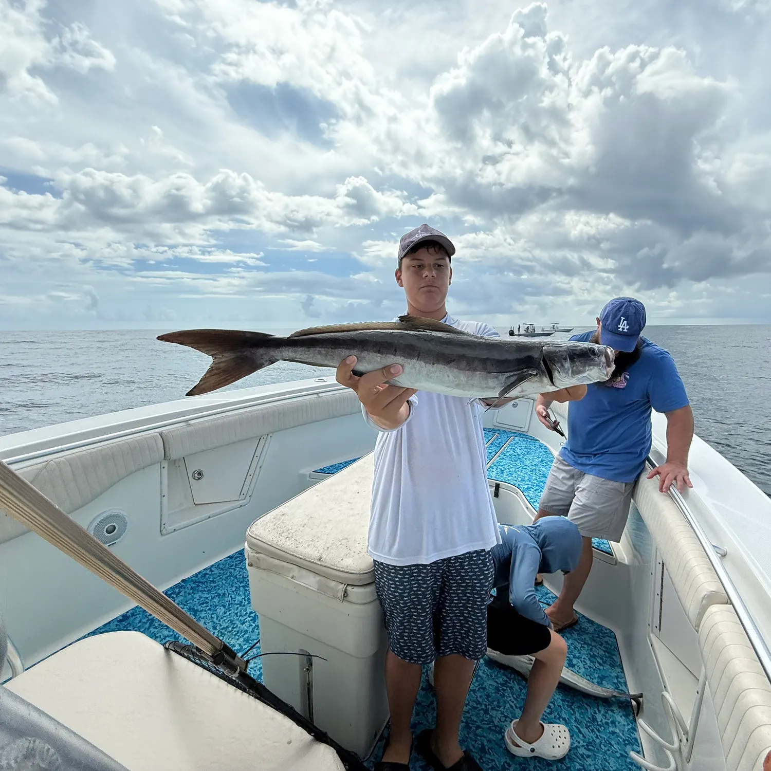 The most recent Cobia catches on Fishbrain