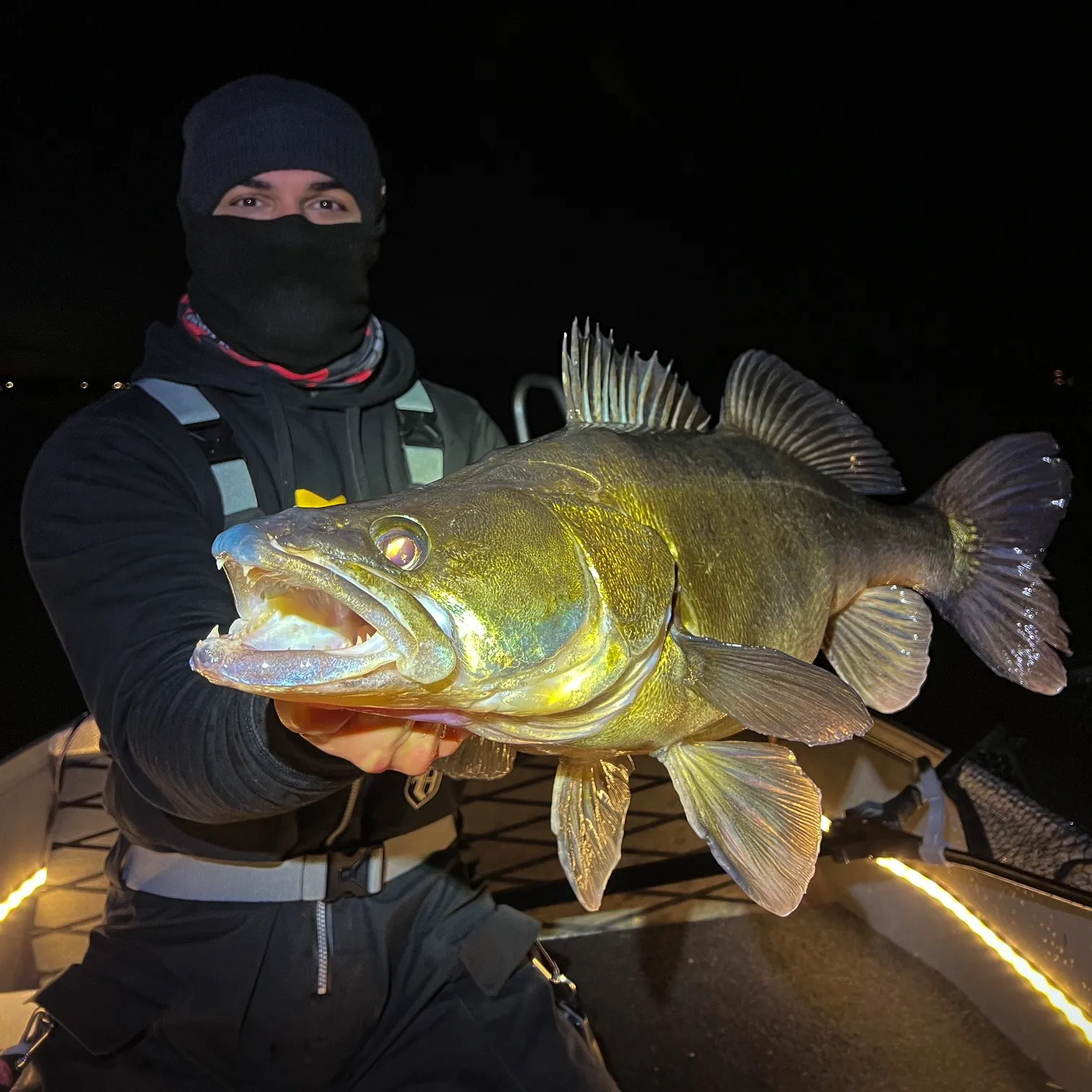 The most recent Zander catches on Fishbrain