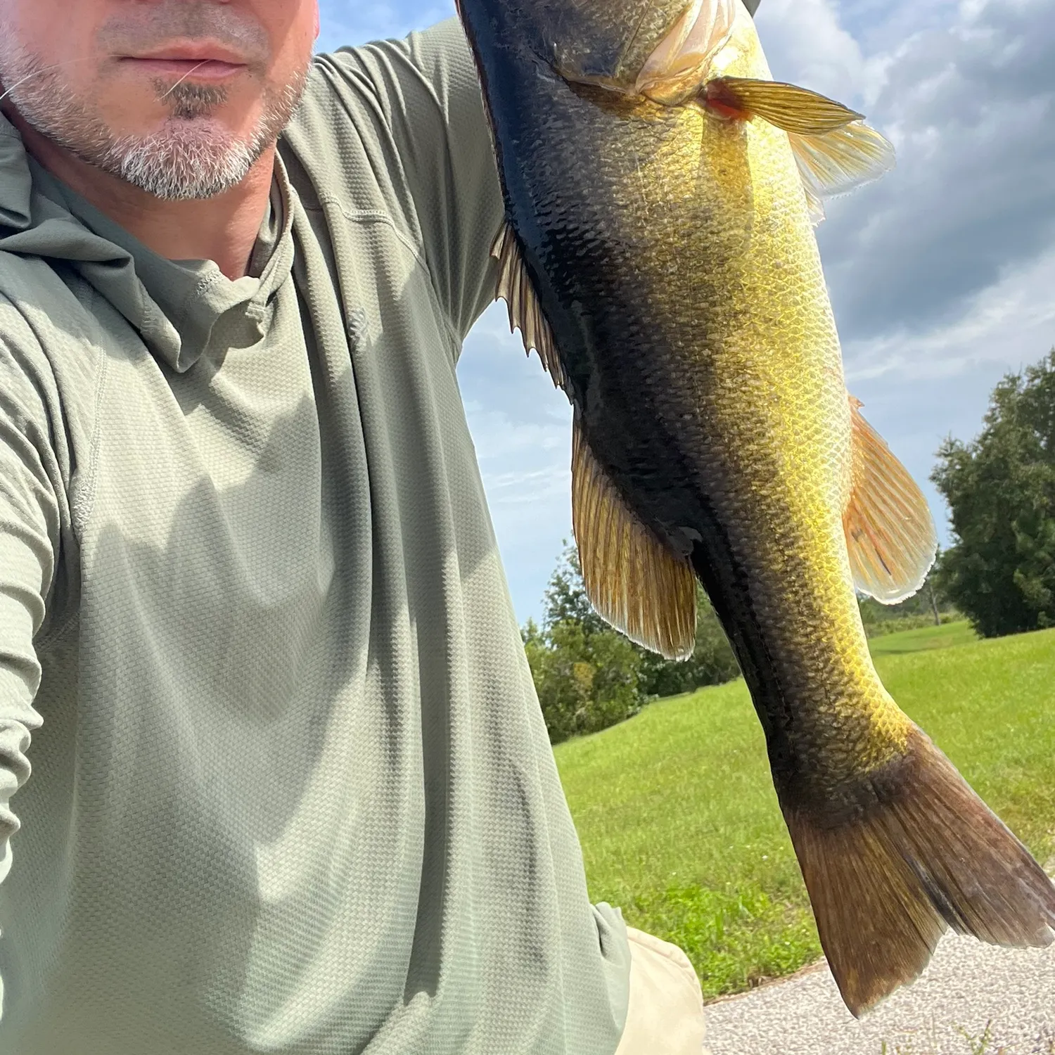 Largemouth bass caught on Fishbrain