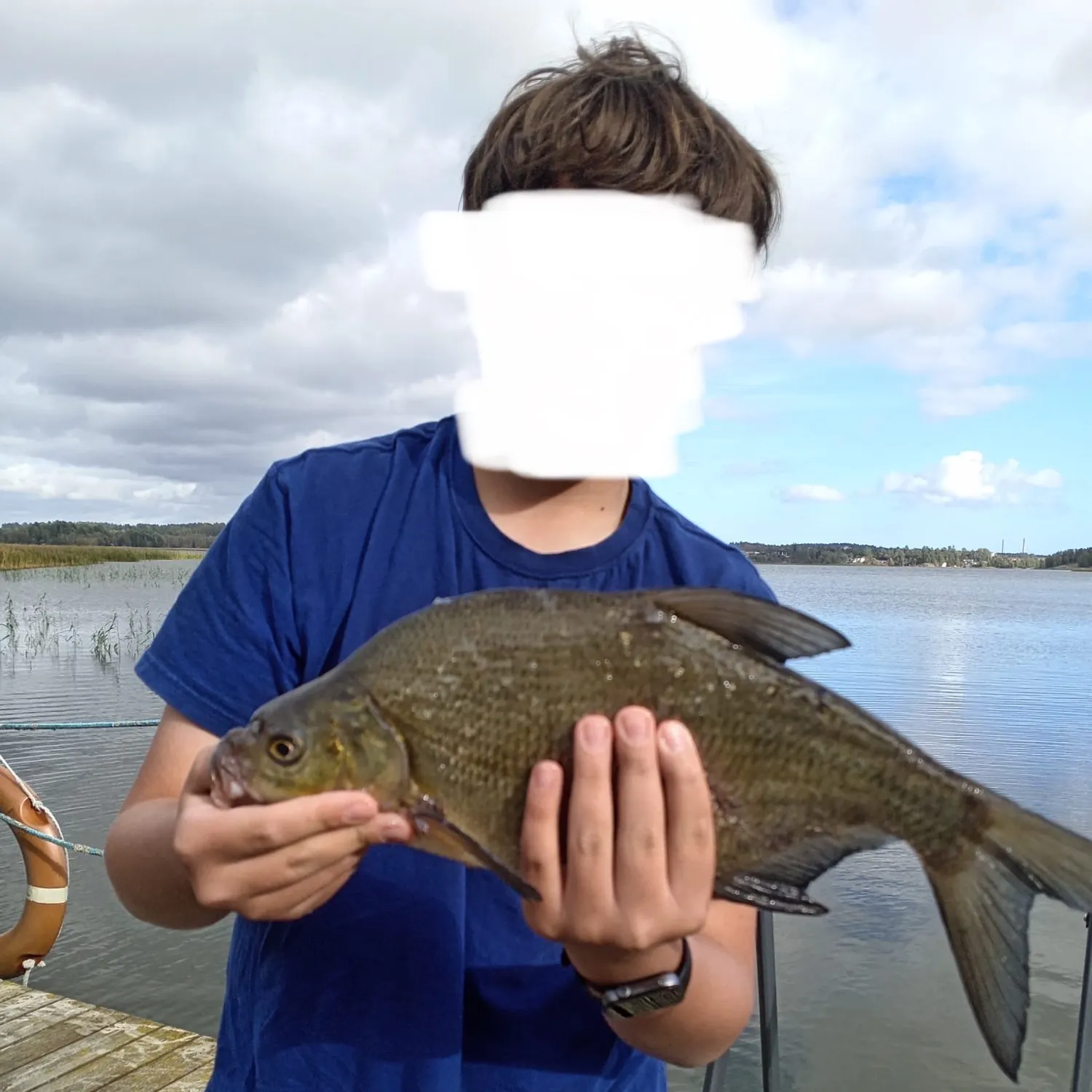 Common bream caught on Fishbrain