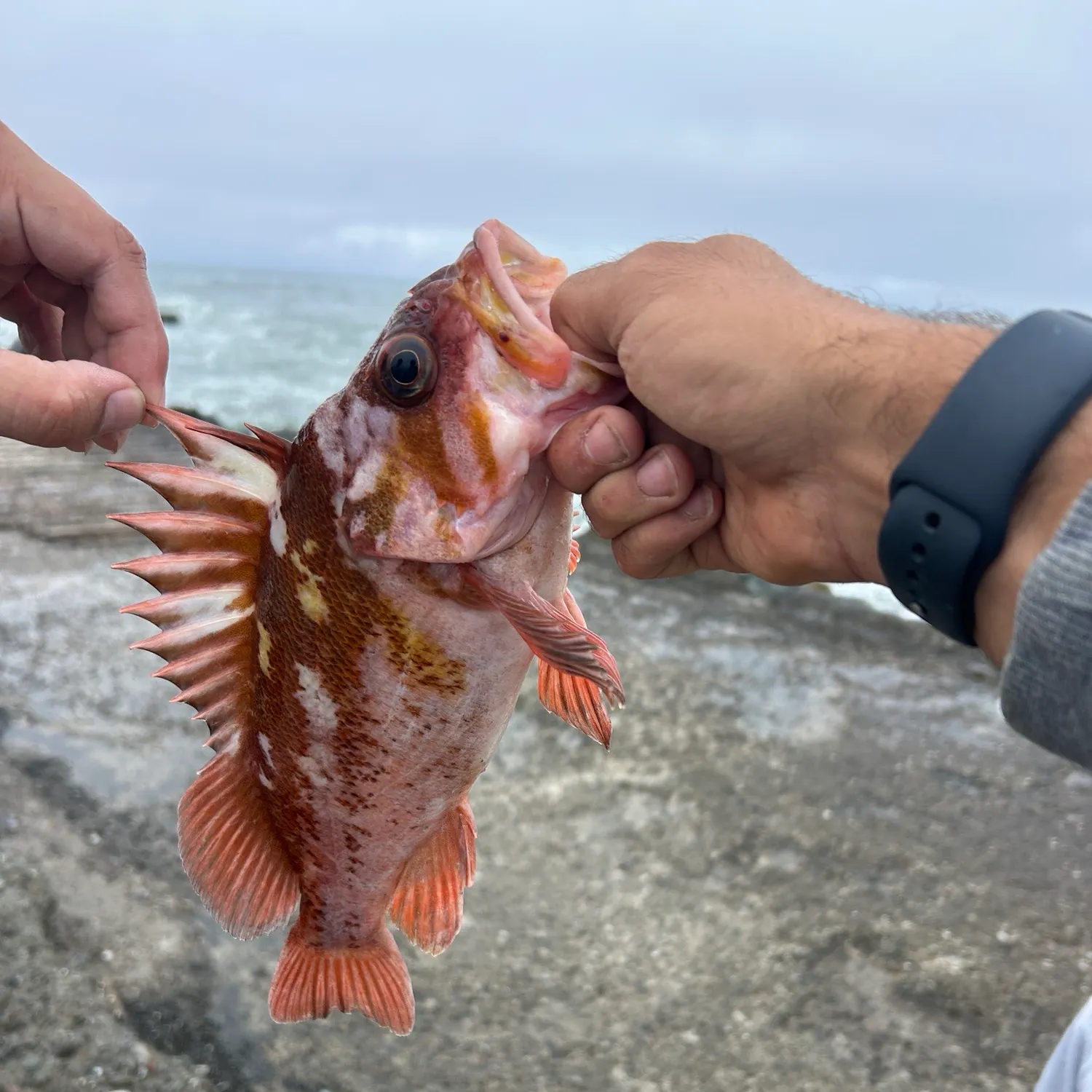 catch