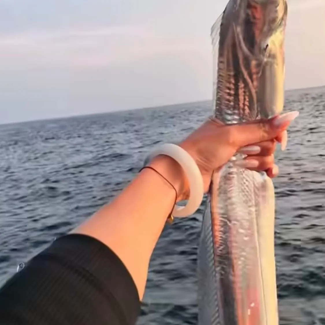 Atlantic cutlassfish caught on Fishbrain
