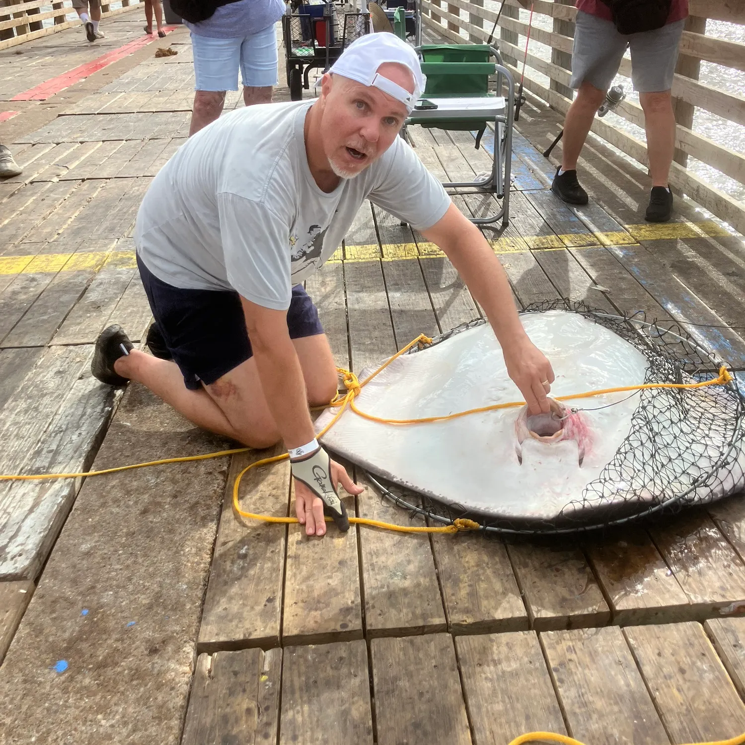 The most recent Southern stingray catches on Fishbrain