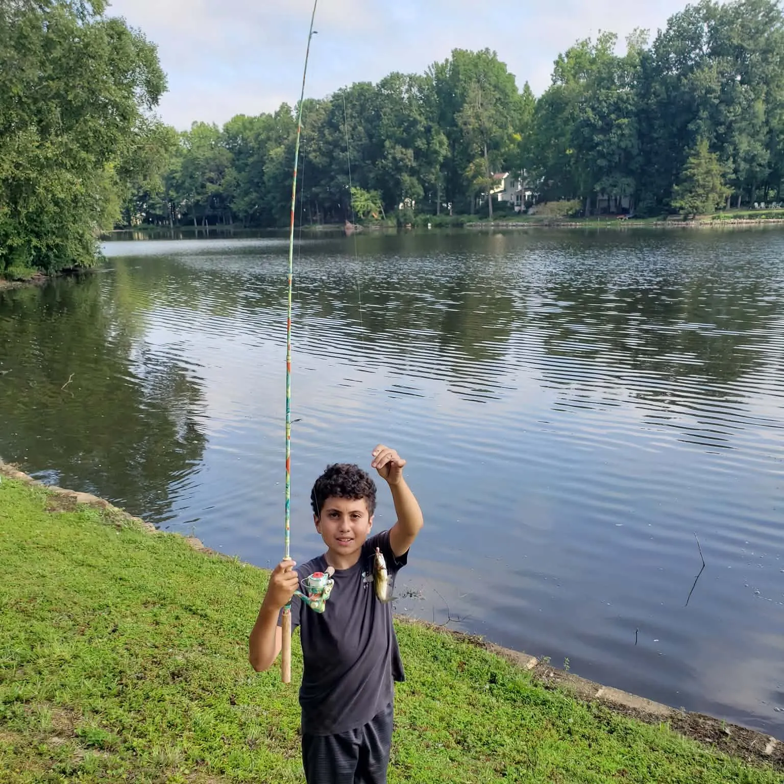 Yellow bullhead caught on Fishbrain