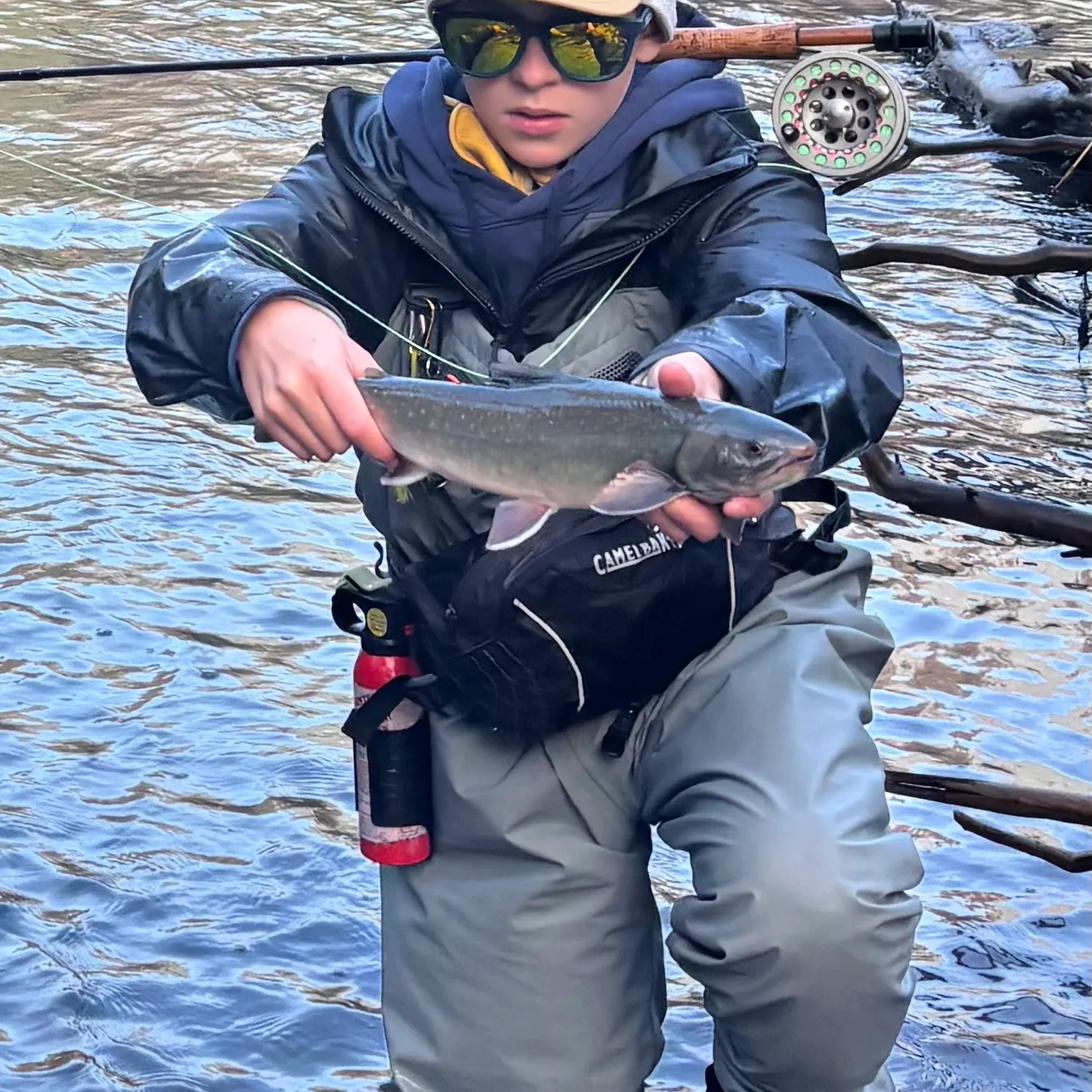 Dolly varden caught on Fishbrain