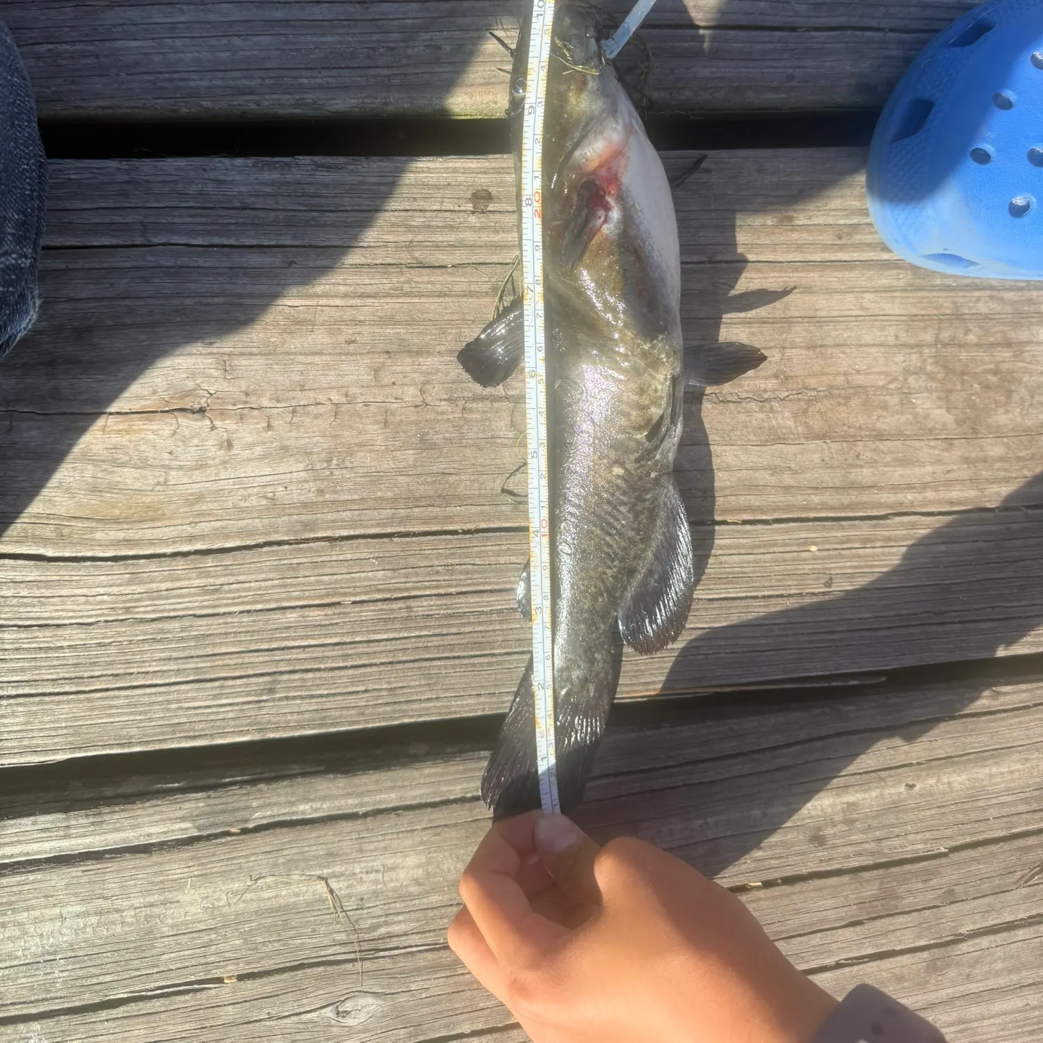 catch