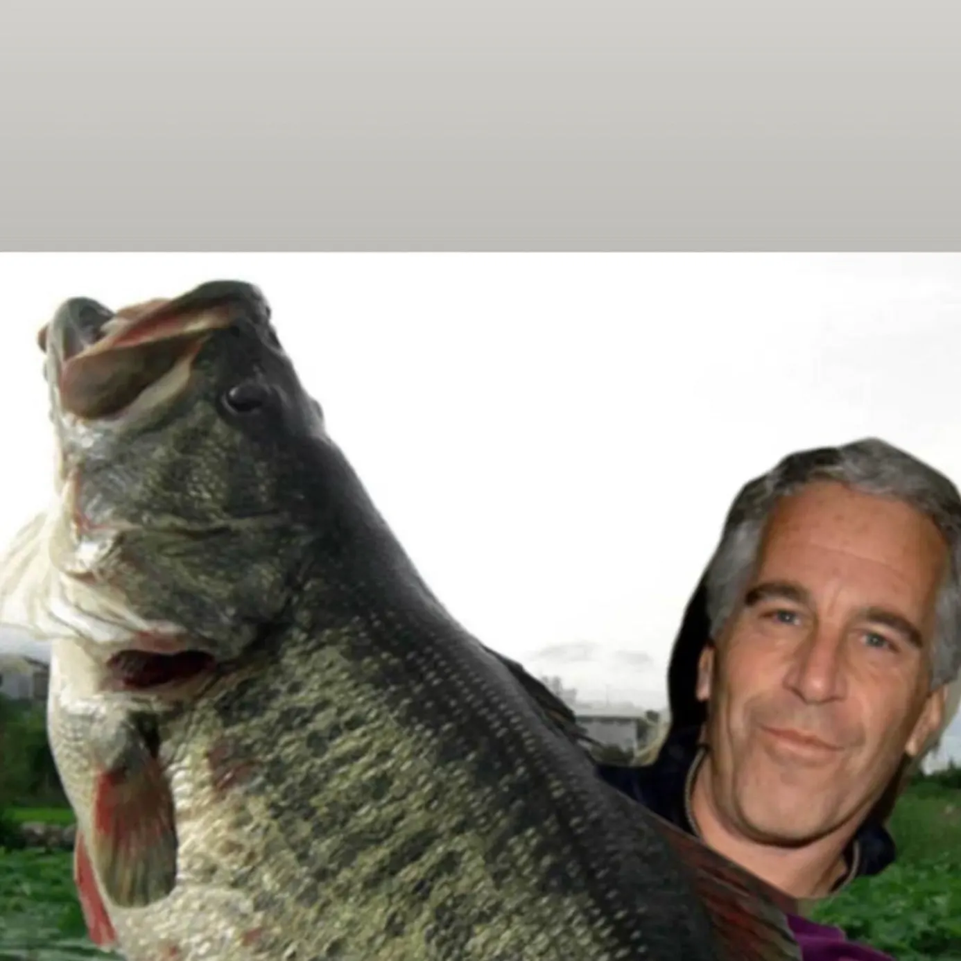 The most recent Dwarf goonch catches on Fishbrain