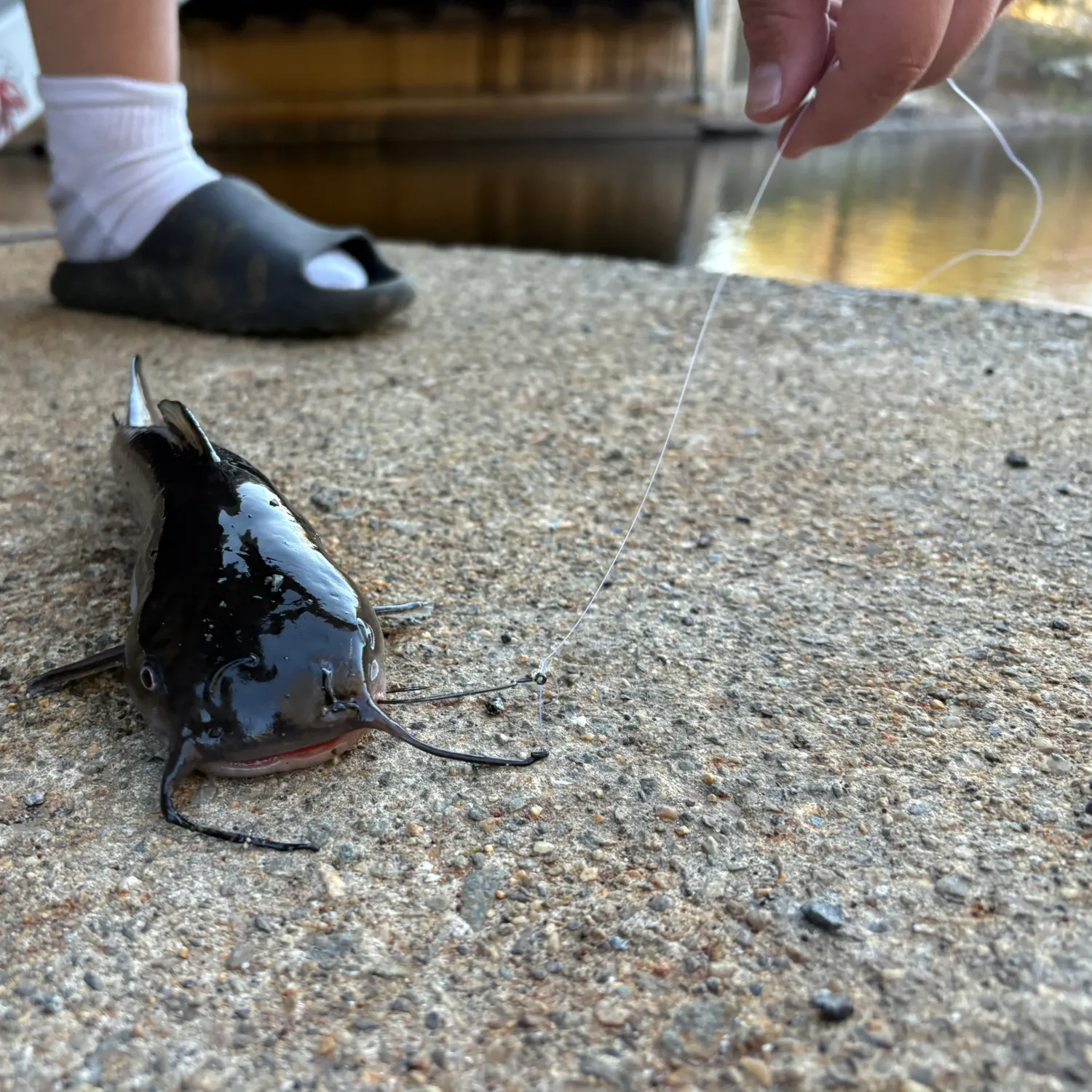 catch