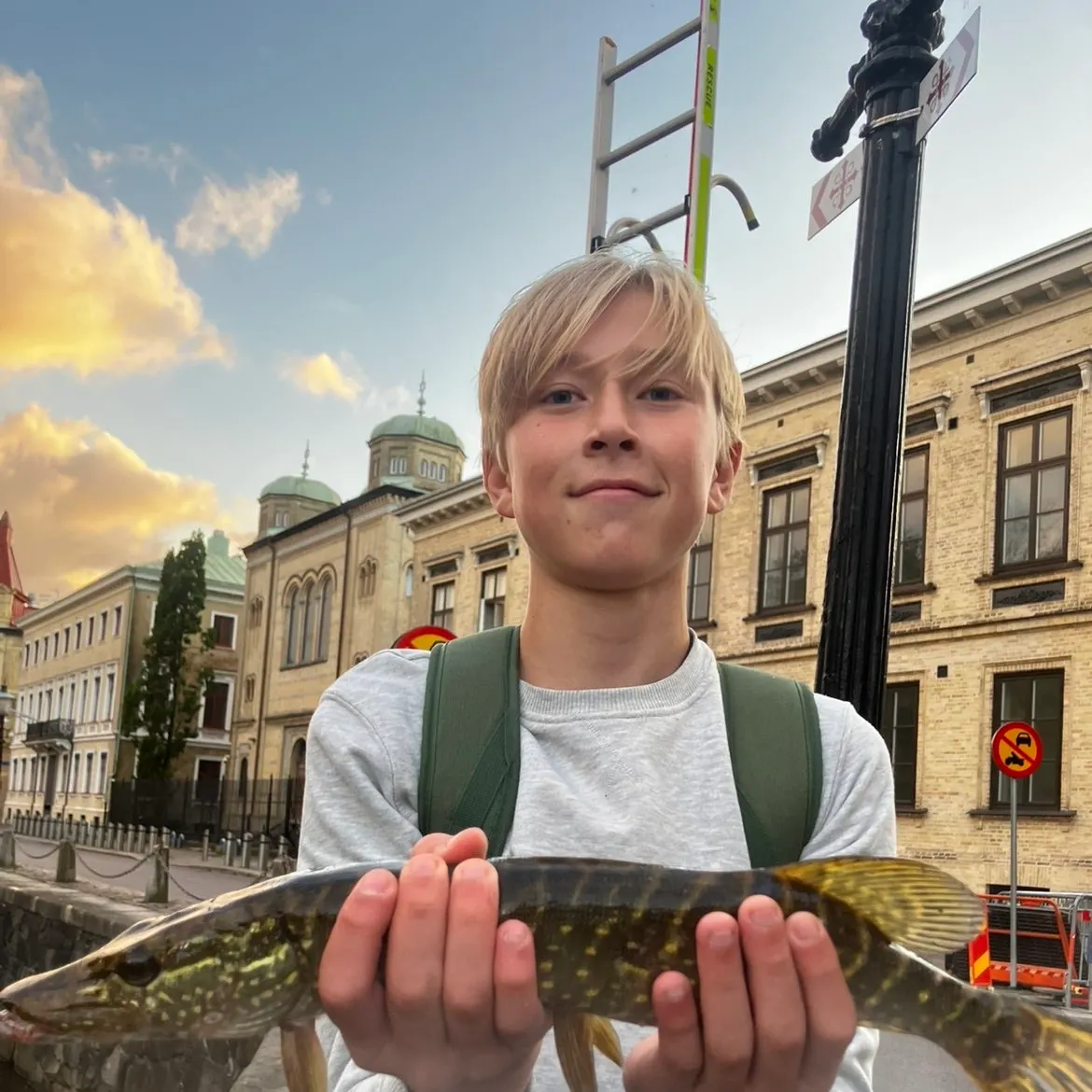 Northern pike caught on Fishbrain
