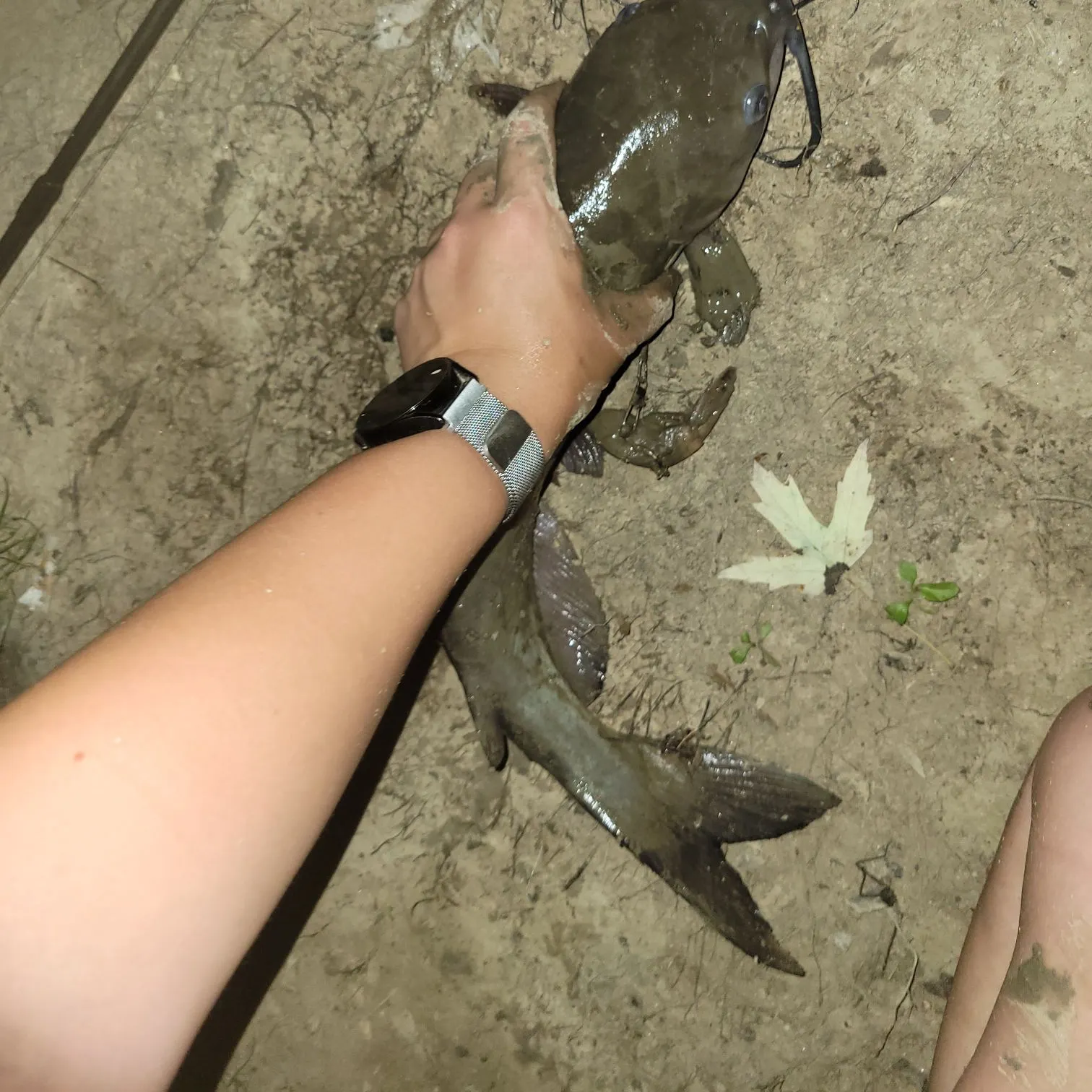 catch