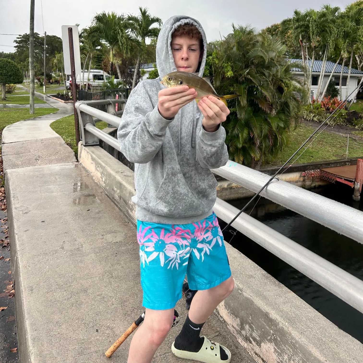 The most recent Crevalle jack catches on Fishbrain