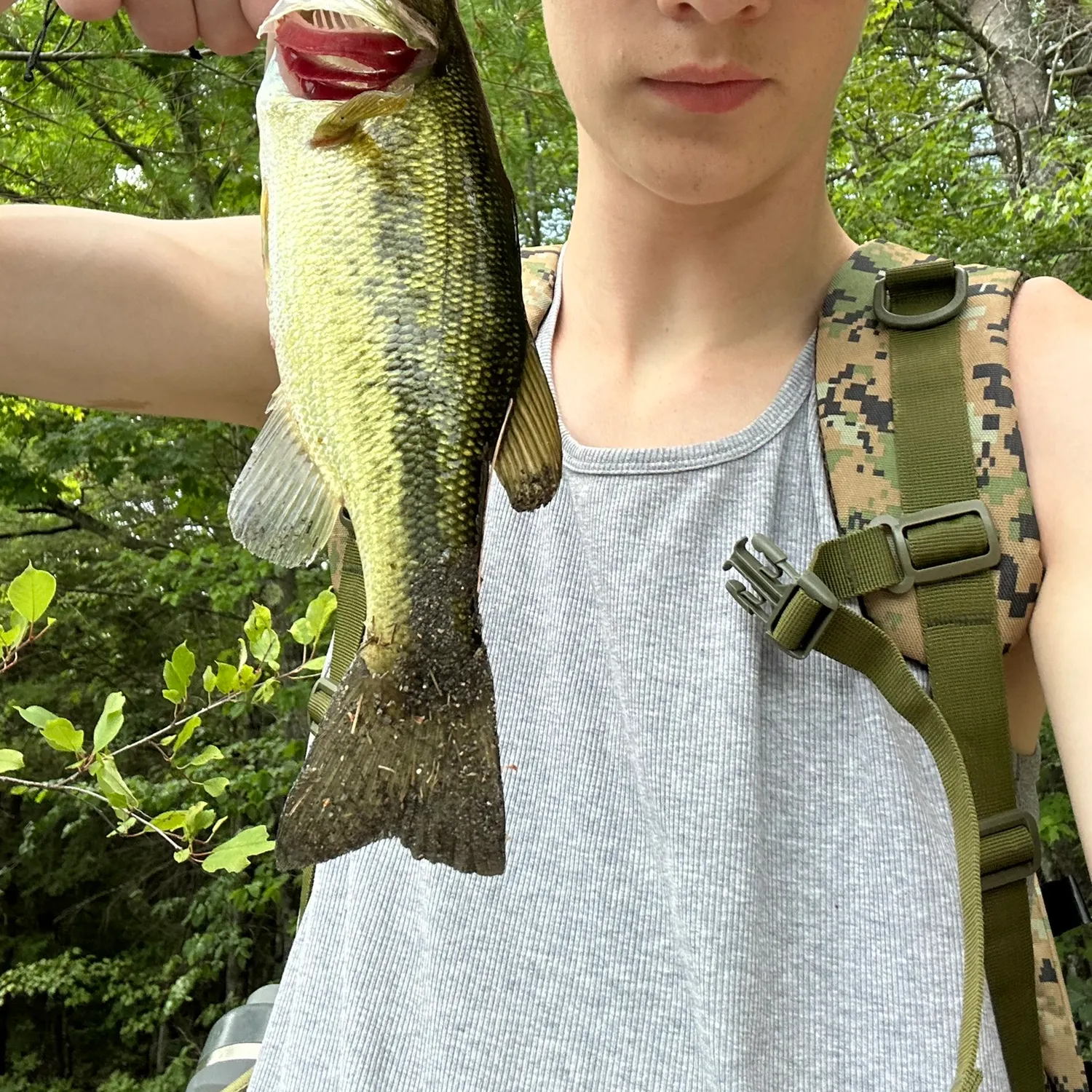 Largemouth bass caught on Fishbrain