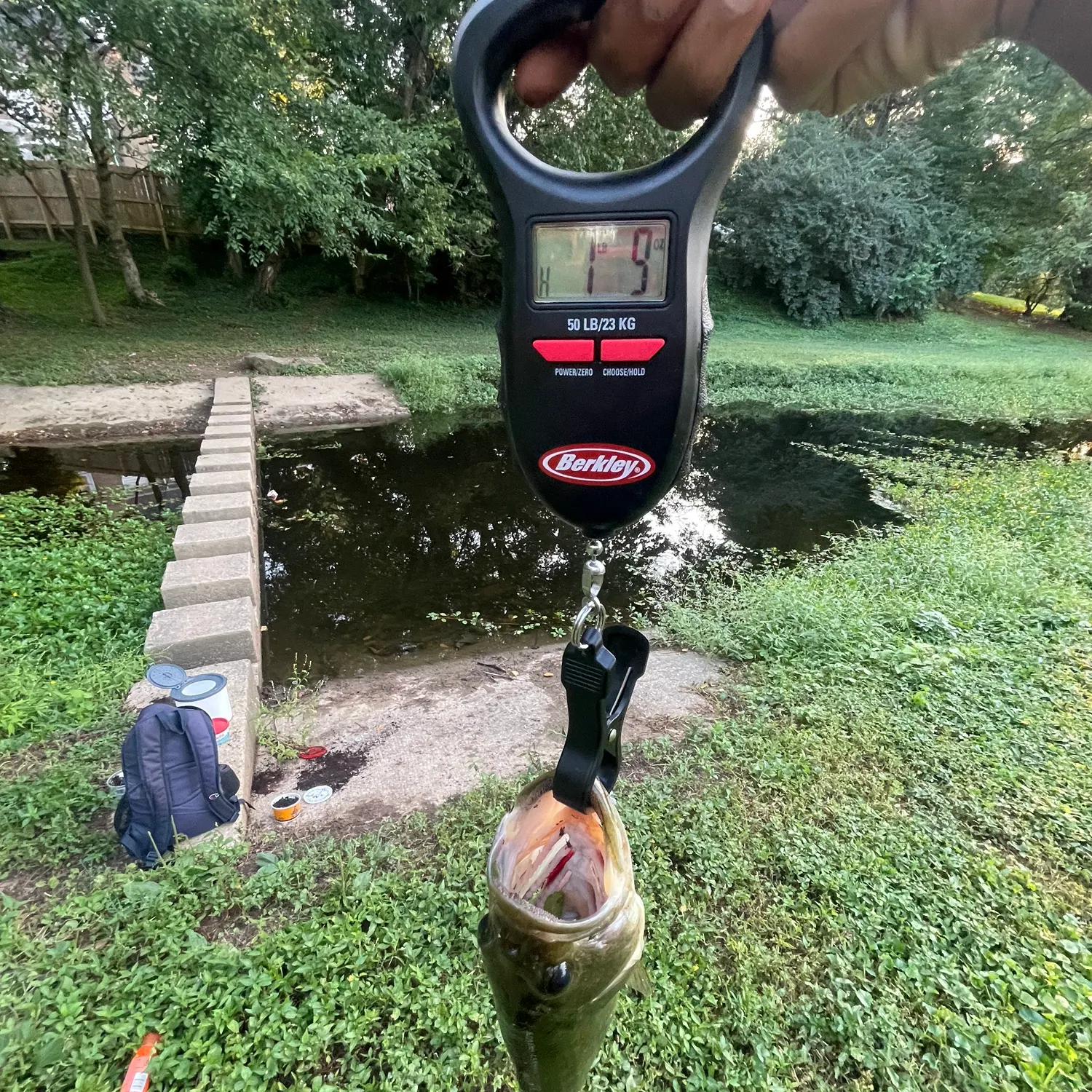 Fish caught on Fishbrain