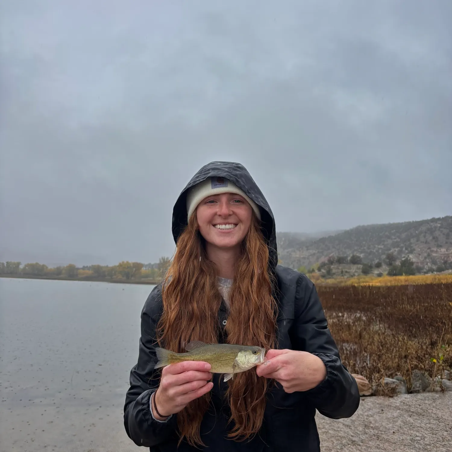 Smallmouth bass caught on Fishbrain