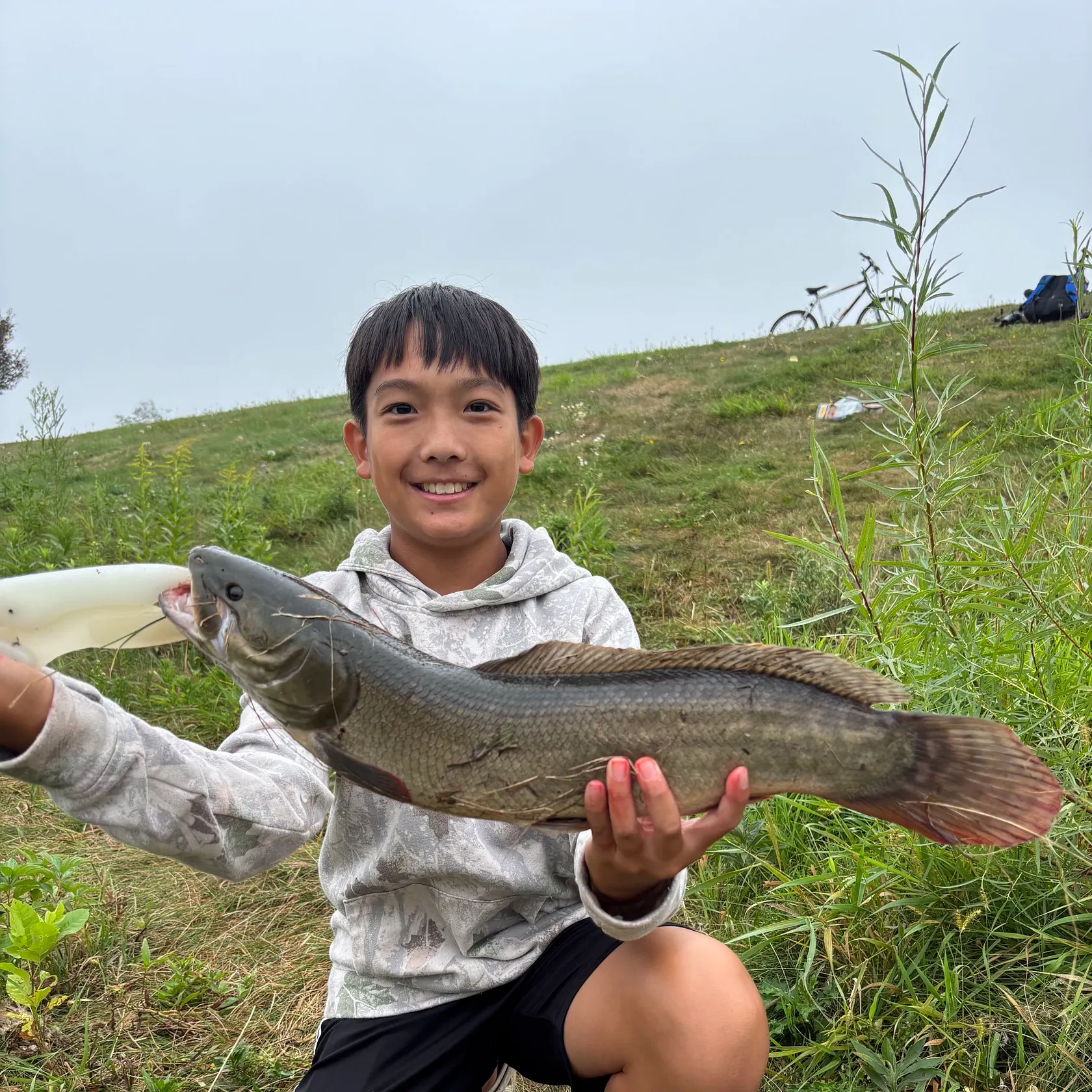 Eyetail bowfin caught on Fishbrain