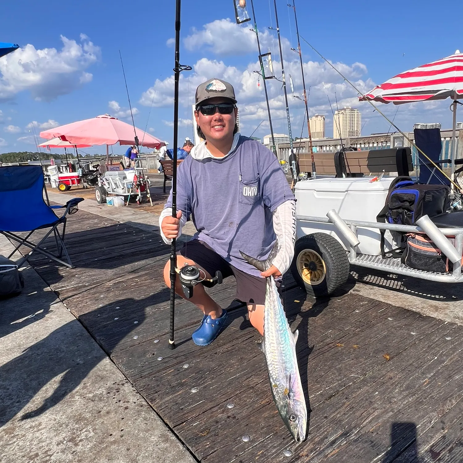 The most recent King mackerel catches on Fishbrain