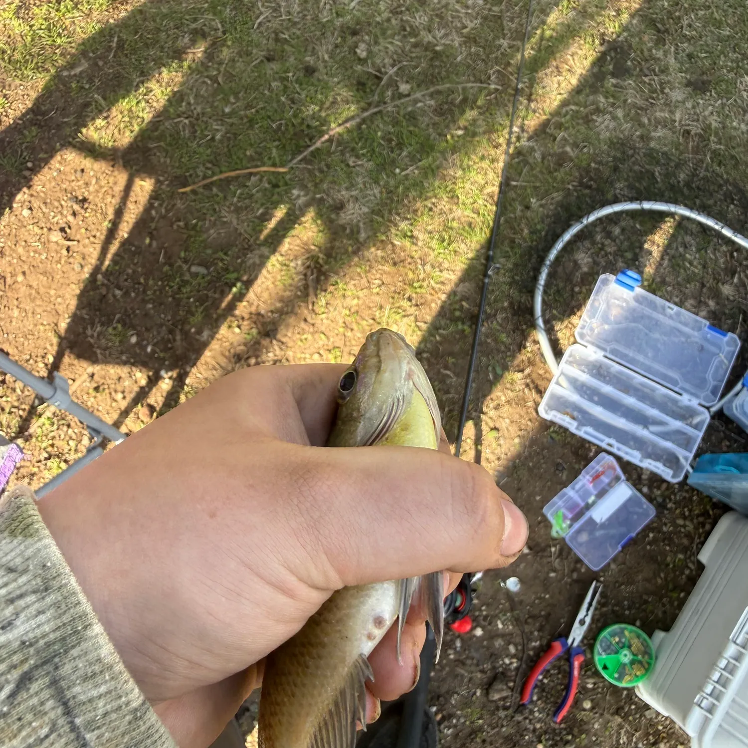 catch