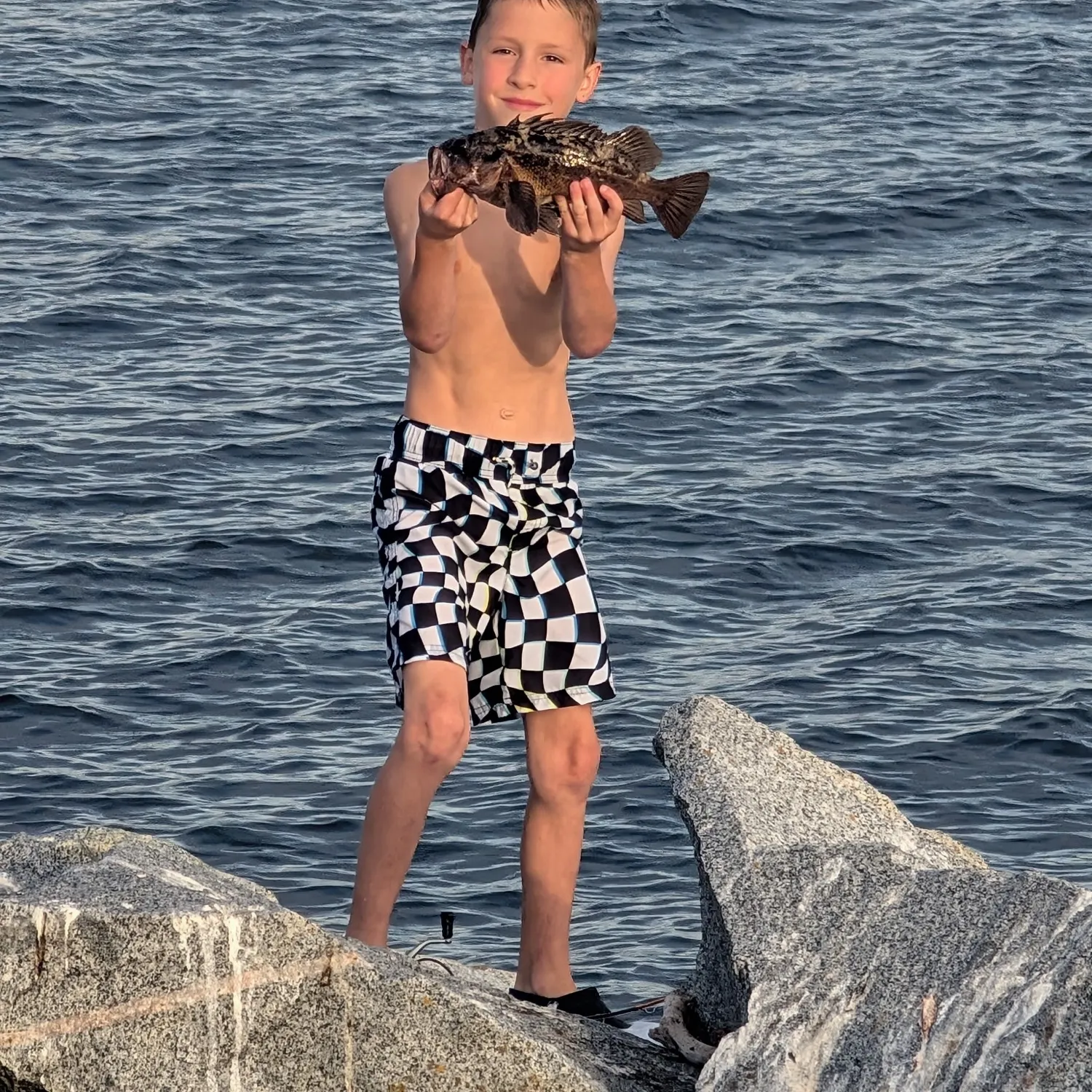 Copper rockfish caught on Fishbrain